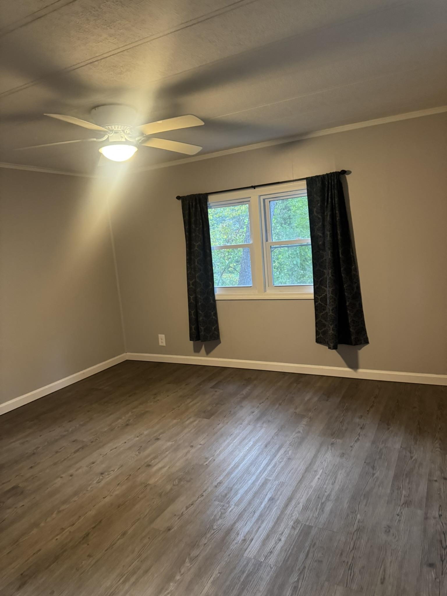 6 Chase Street Property Photo 19