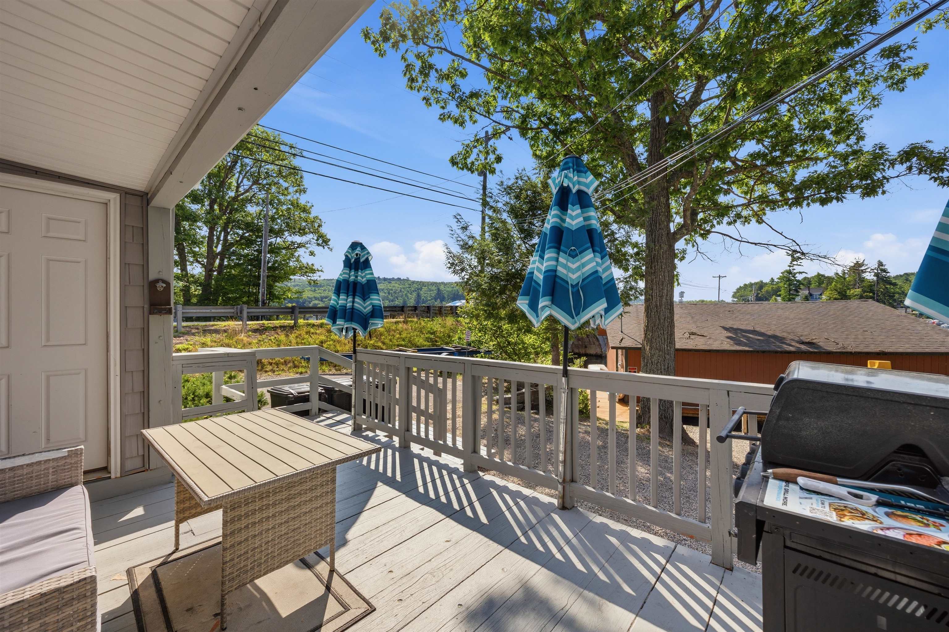 115 Mount Major Highway Property Photo 49