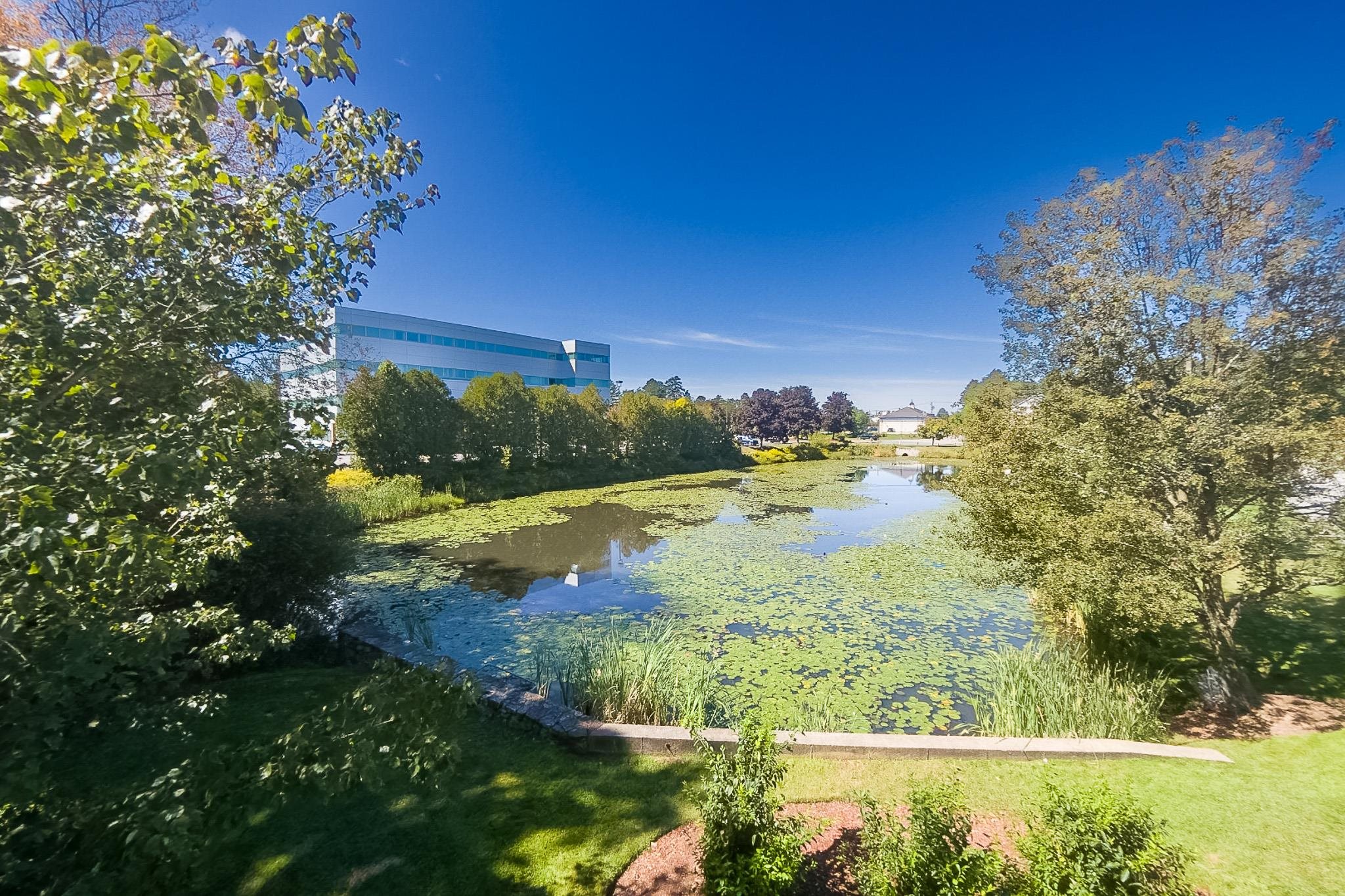 9 Blackstone Drive Property Photo 33