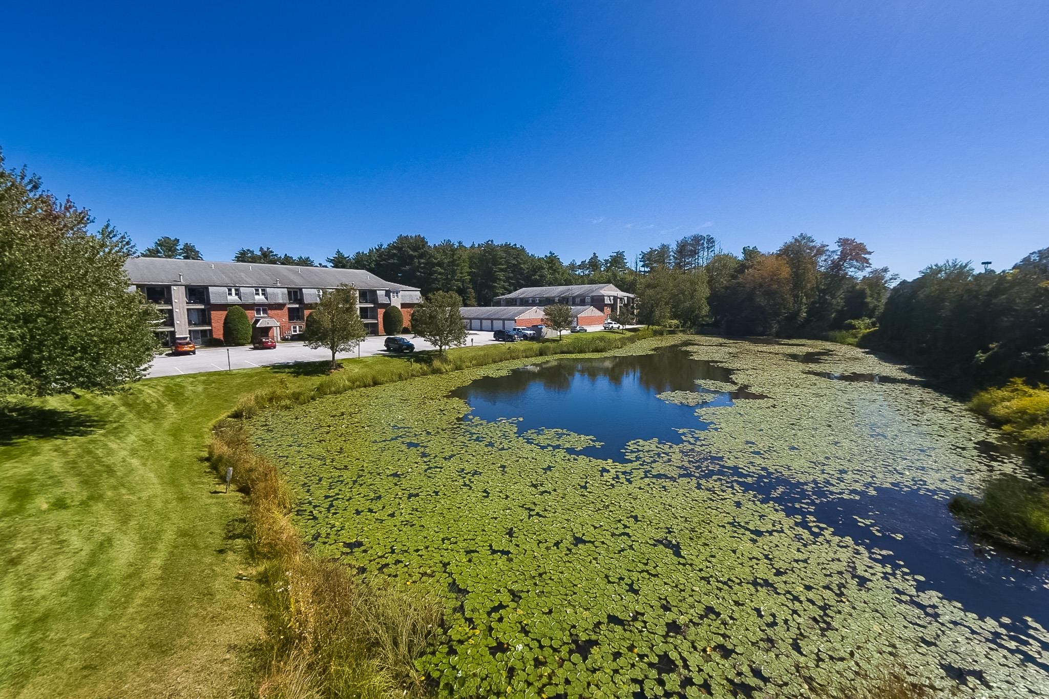 9 Blackstone Drive Property Photo 34