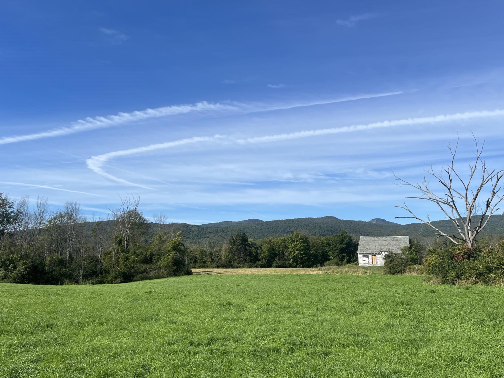 7998 Main Road Property Photo 2