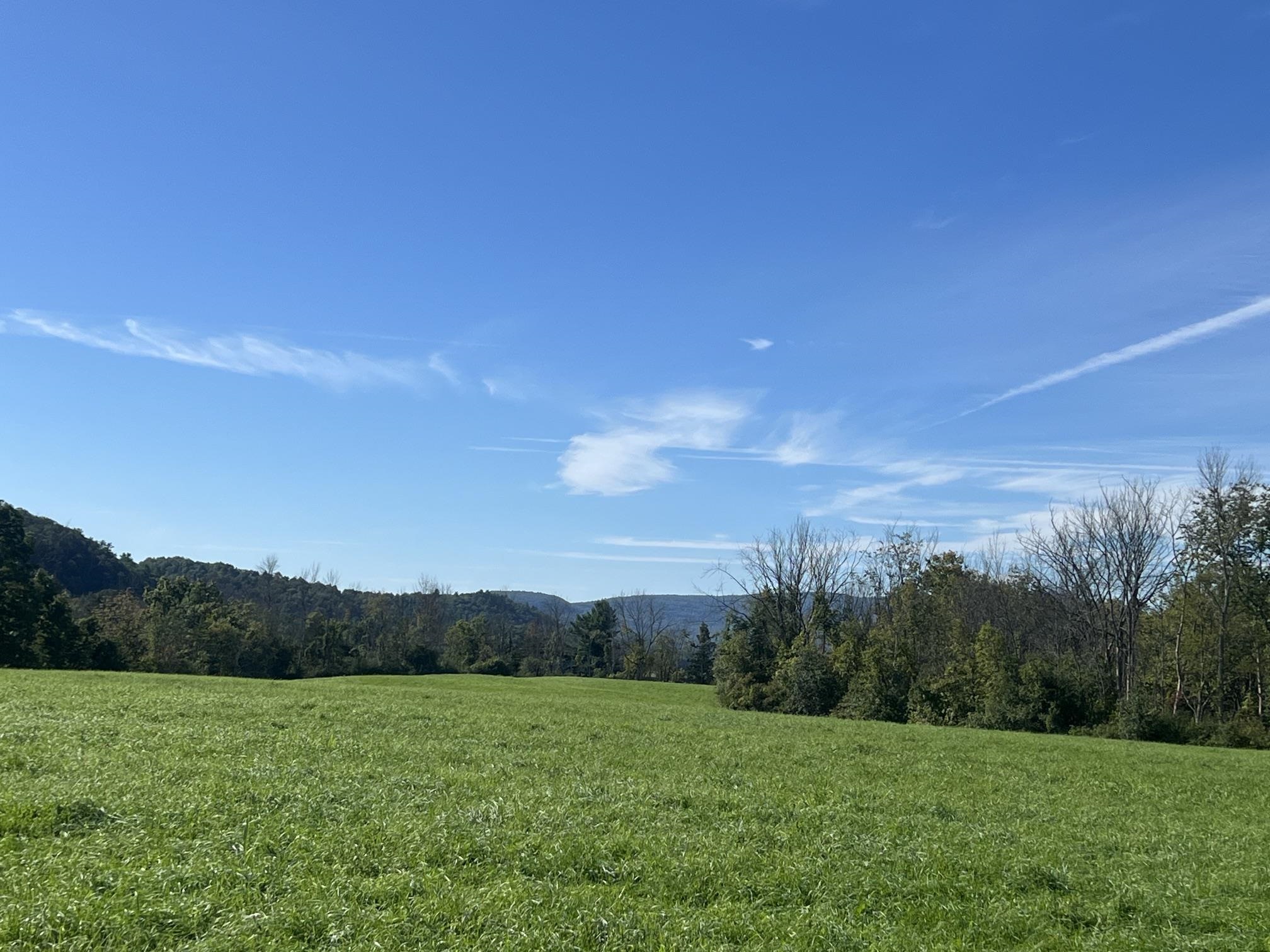 7998 Main Road Property Photo 3