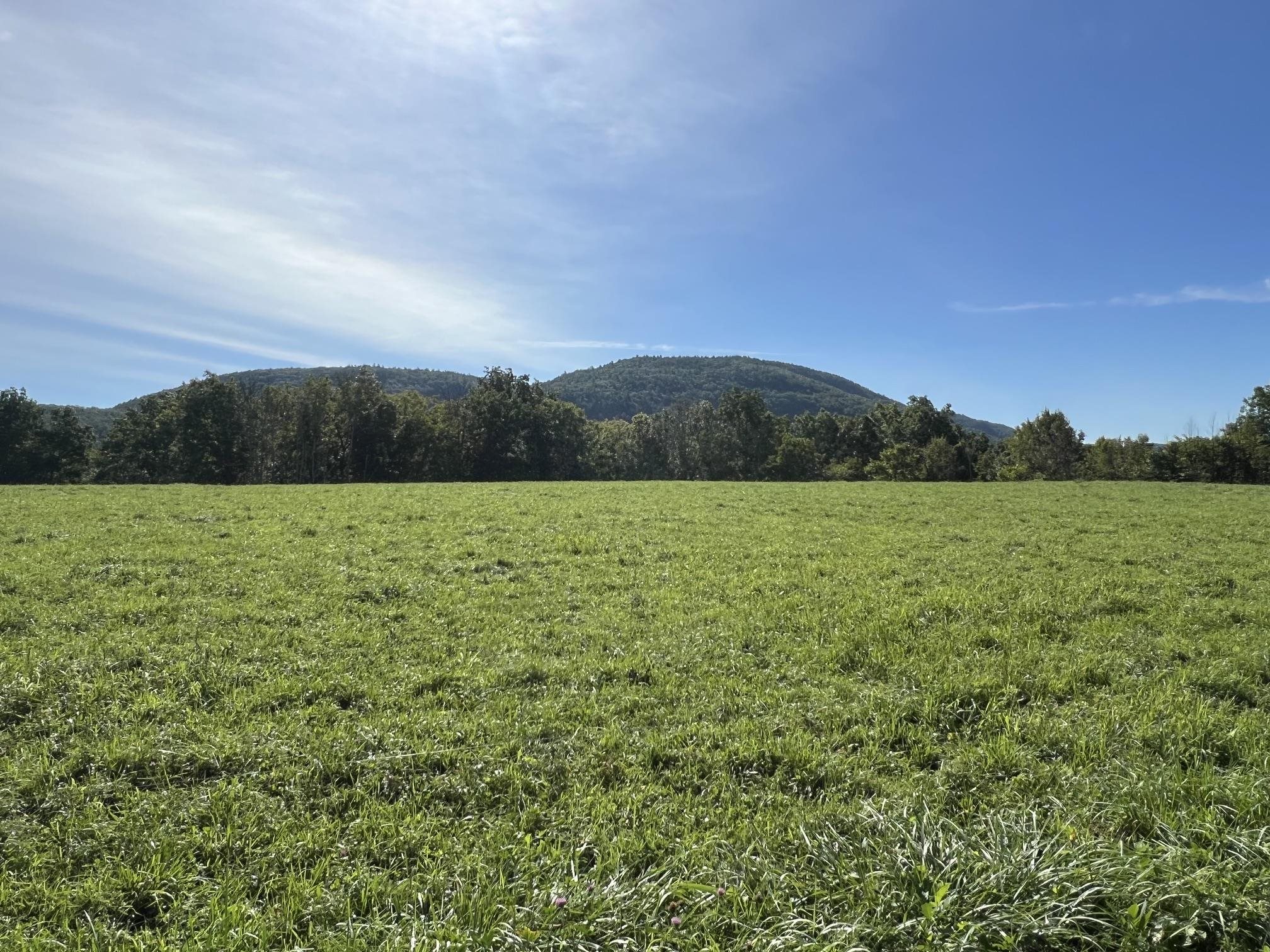 7998 Main Road Property Photo 20