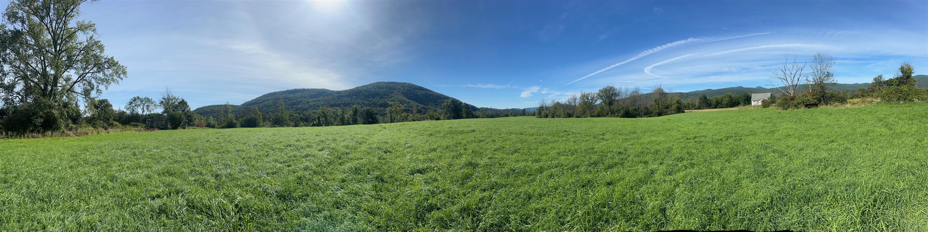 7998 Main Road Property Photo 26