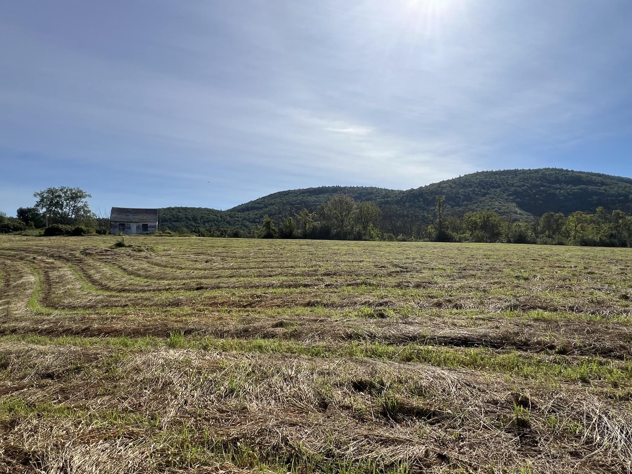 7998 Main Road Property Photo 27