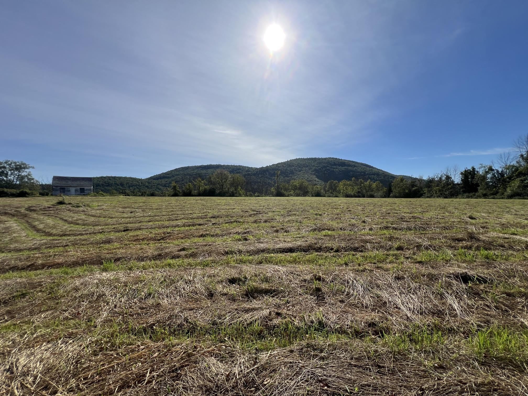 7998 Main Road Property Photo 28