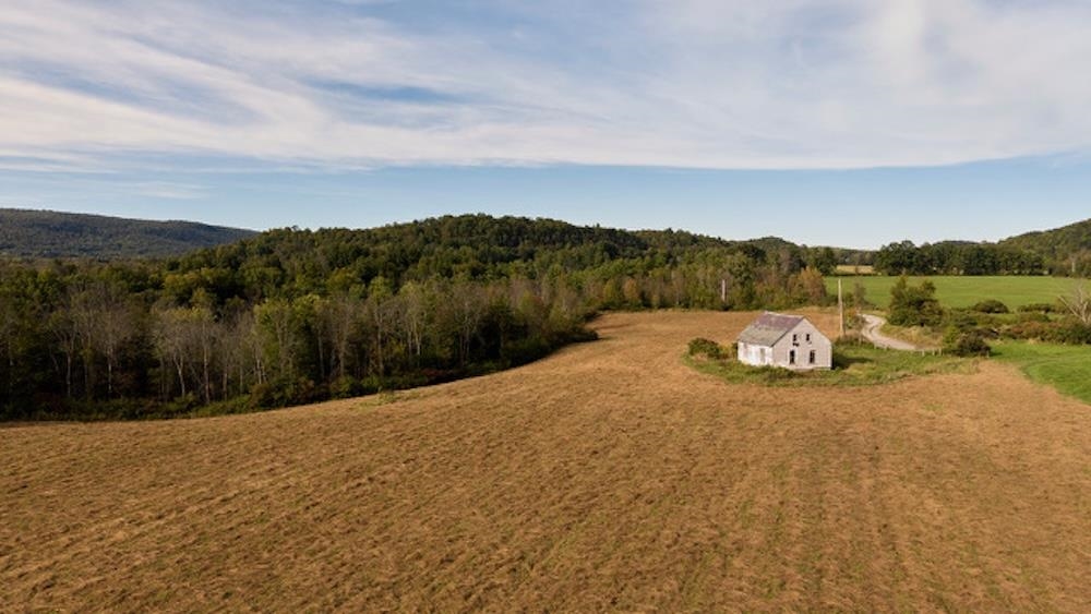 7998 Main Road Property Photo 29