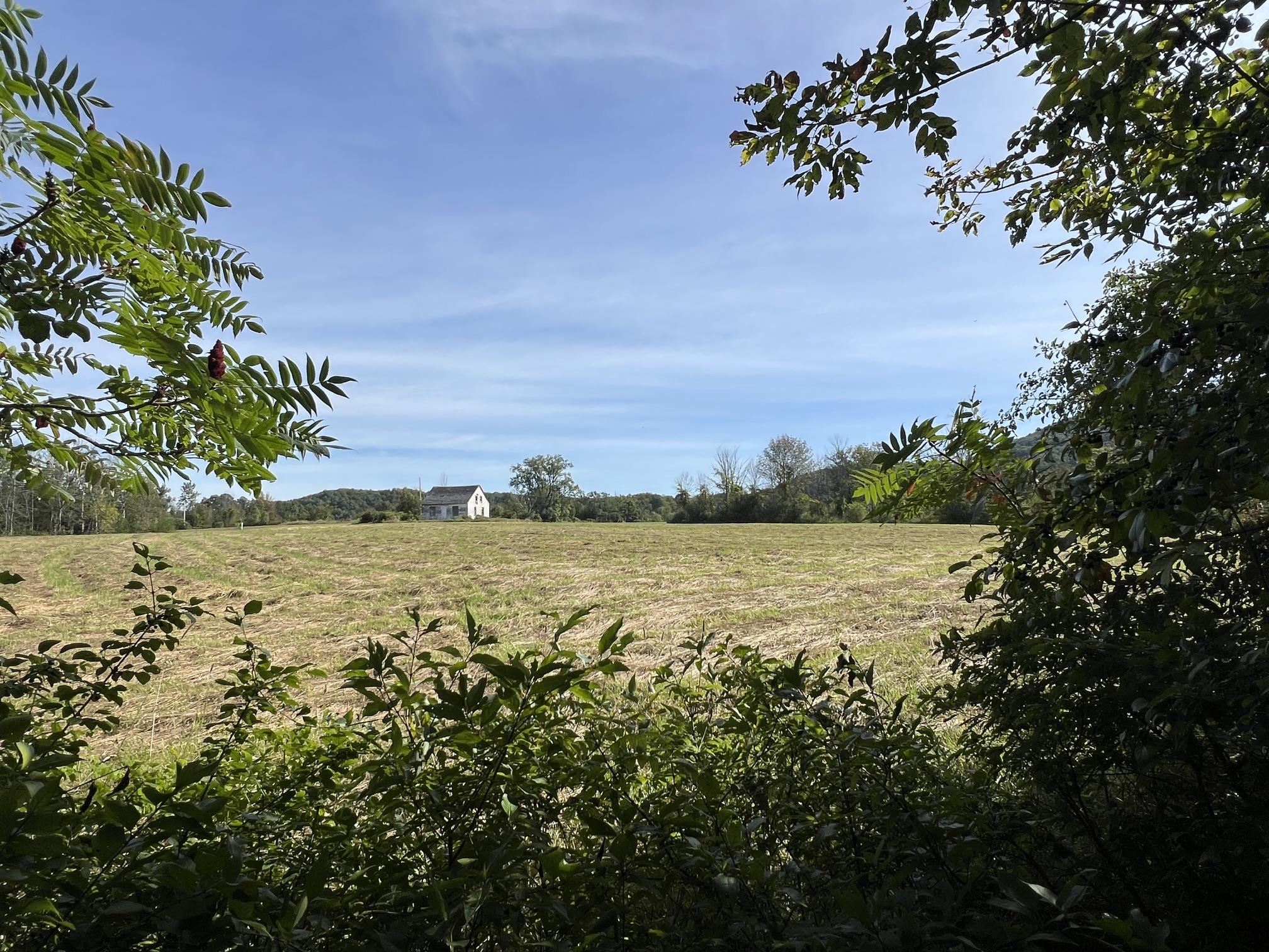 7998 Main Road Property Photo 33