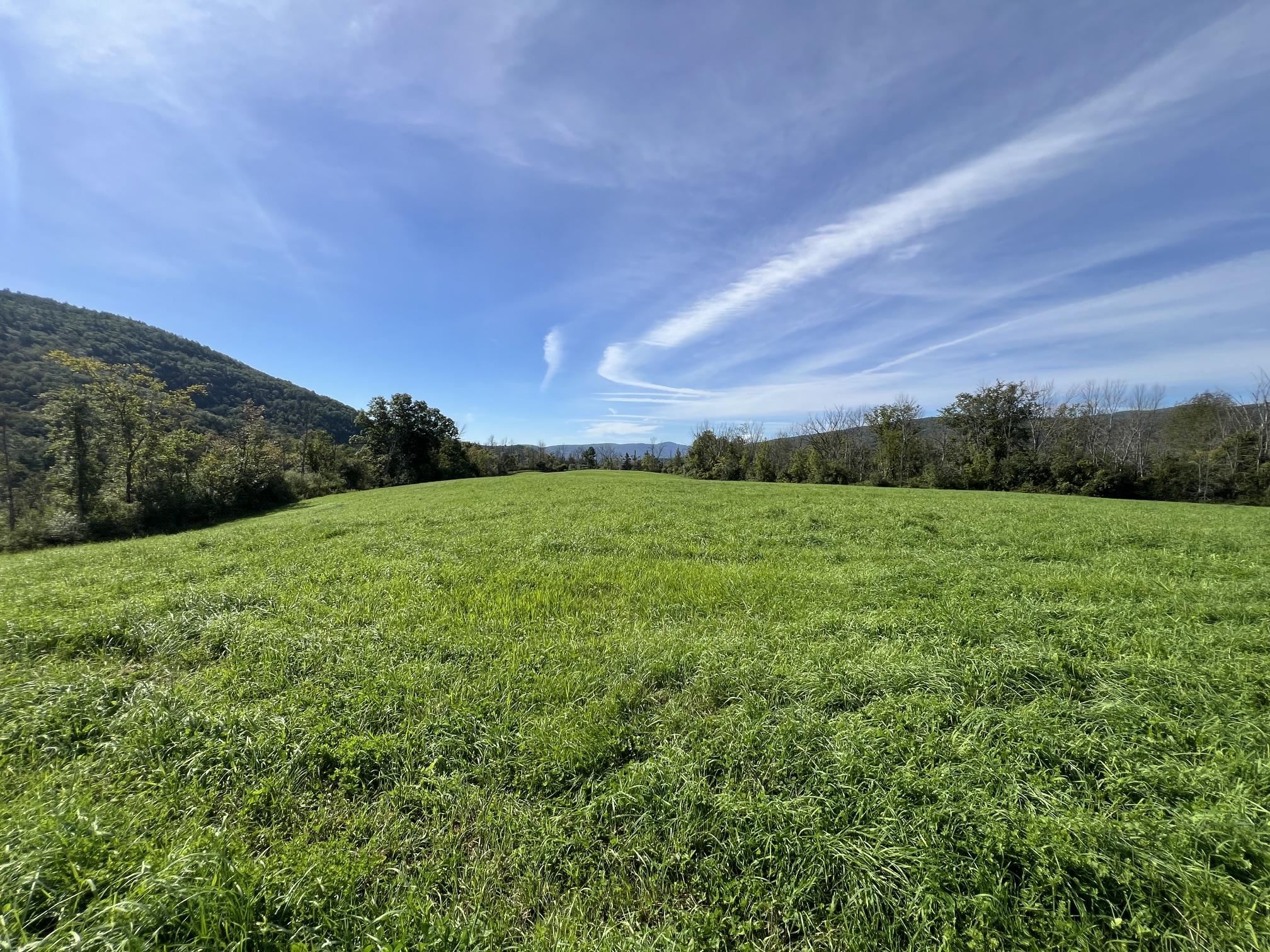 7998 Main Road Property Photo 34