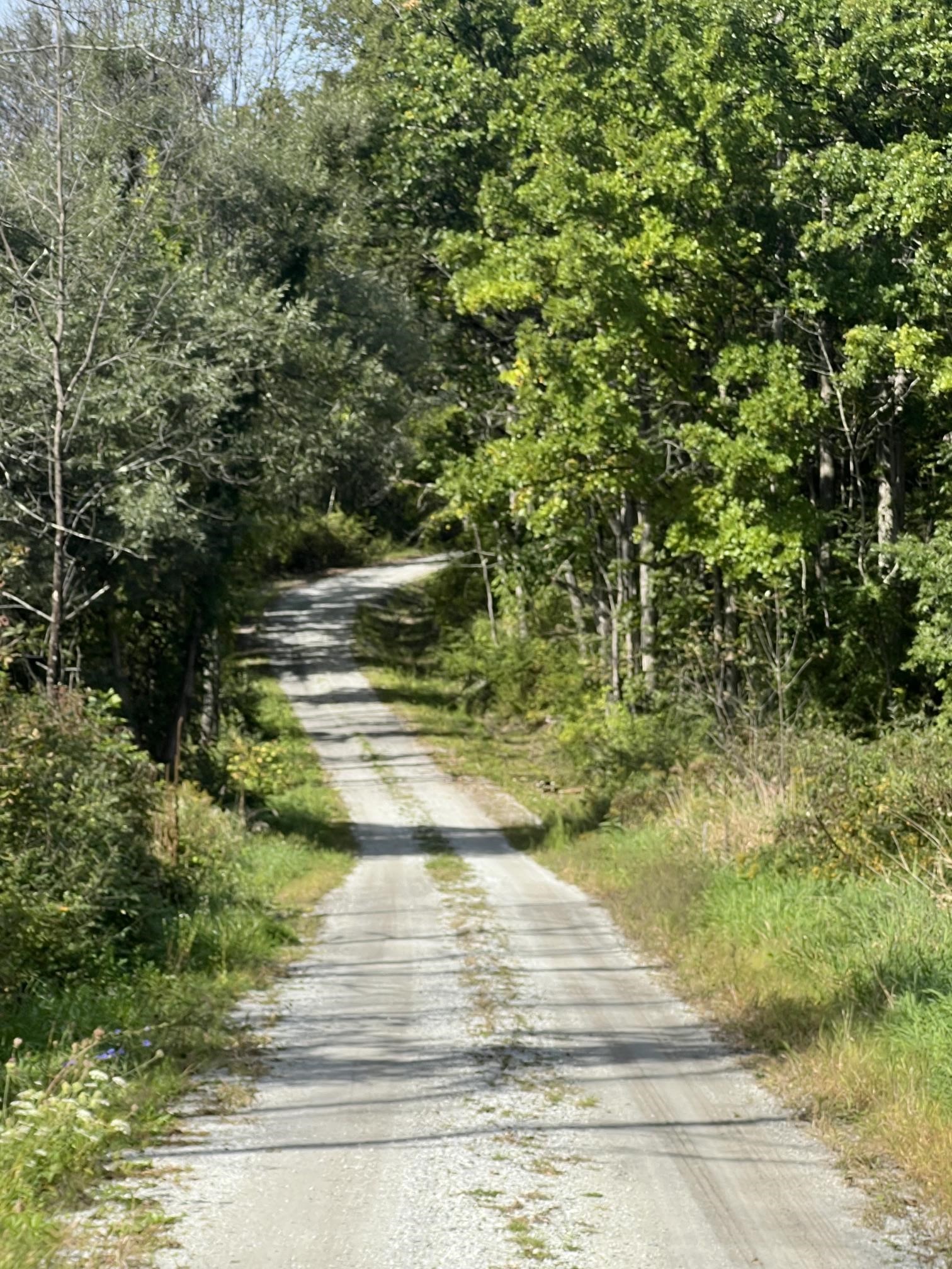7998 Main Road Property Photo 37