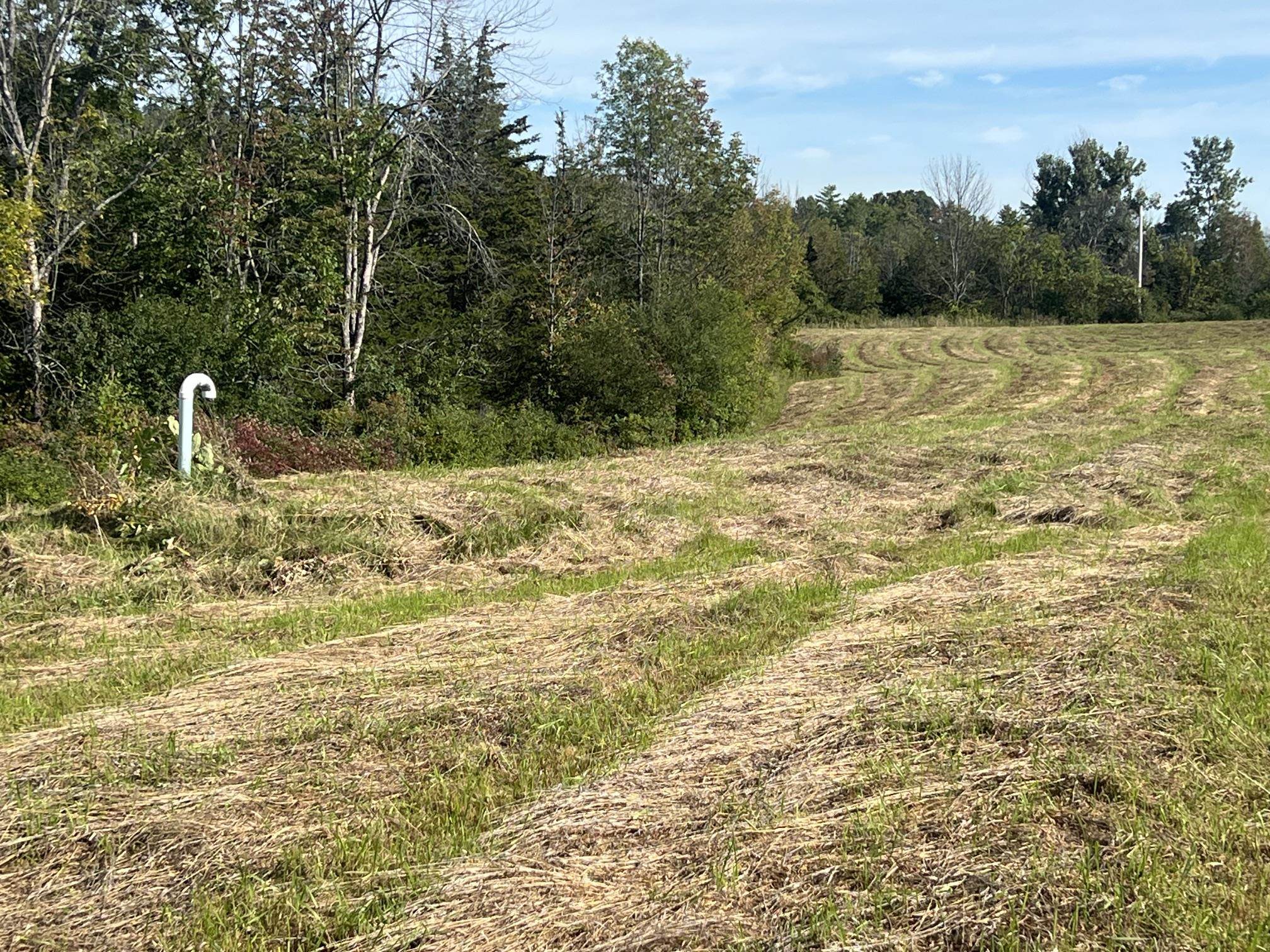7998 Main Road Property Photo 39