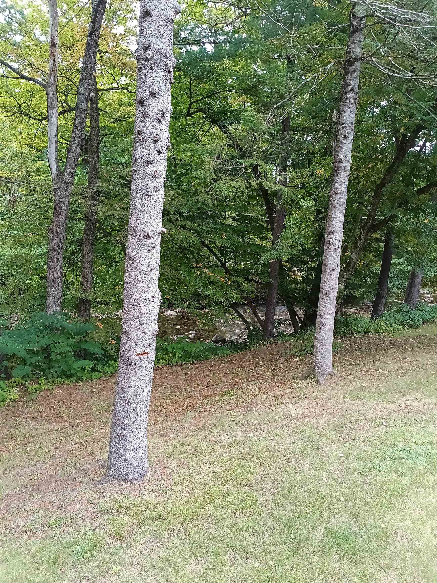 40 Brookside Drive Property Photo 19