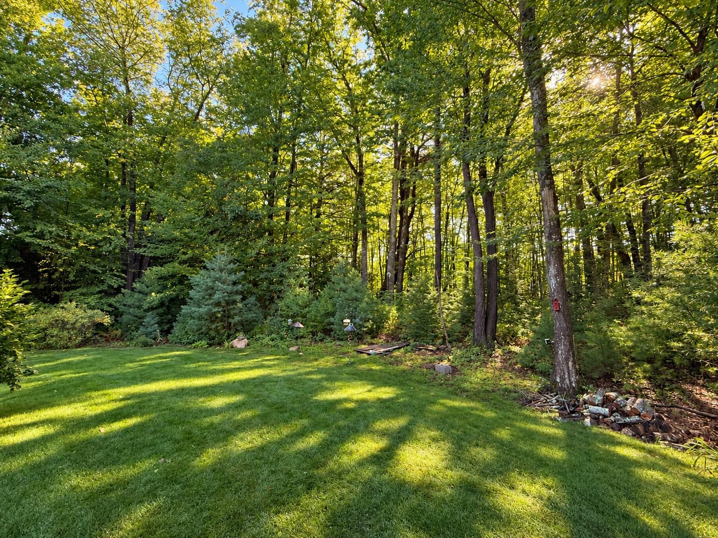 58 Ebony Drive Property Photo 22
