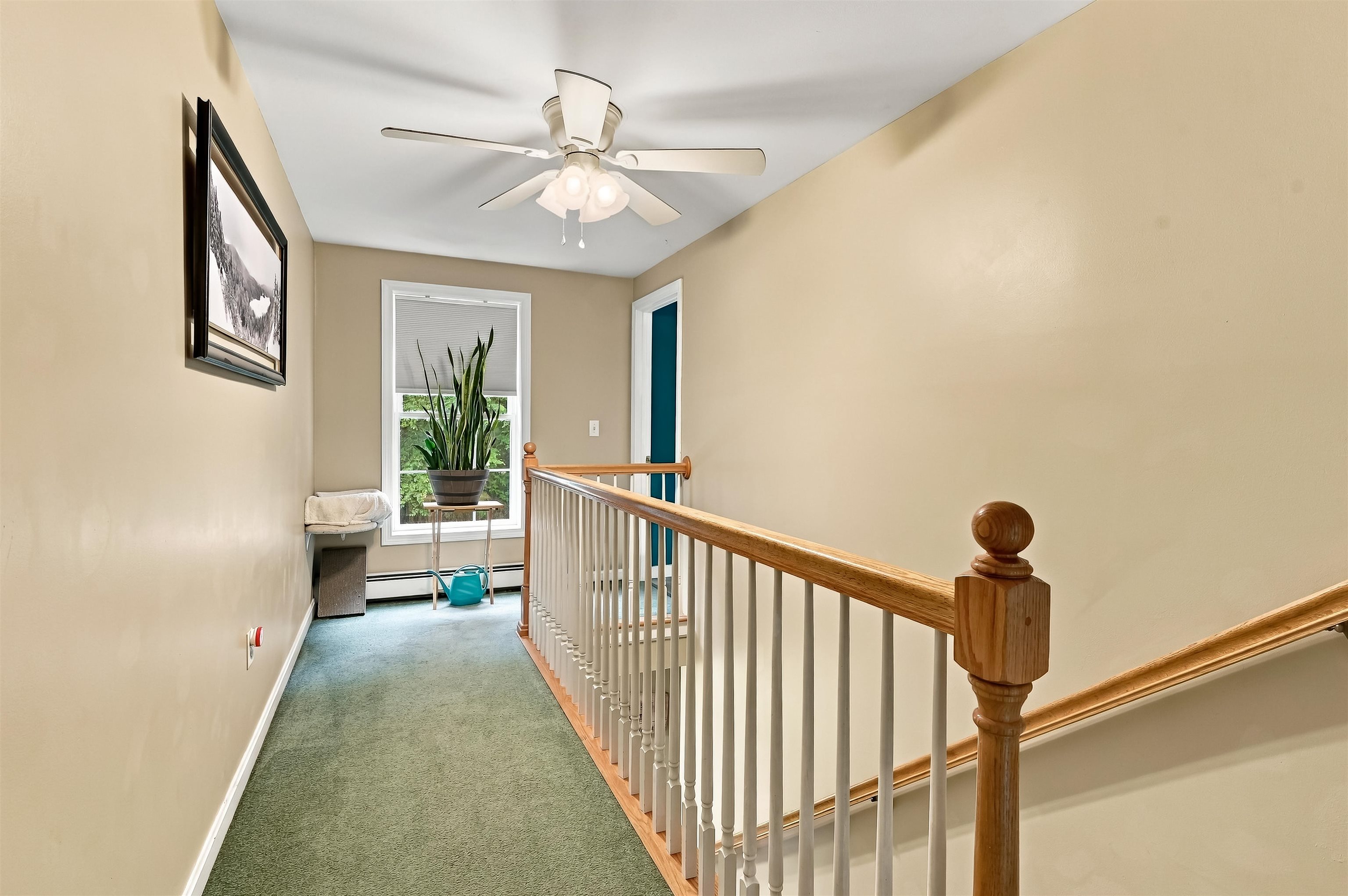 4 Lemon Tree Road Property Photo 28