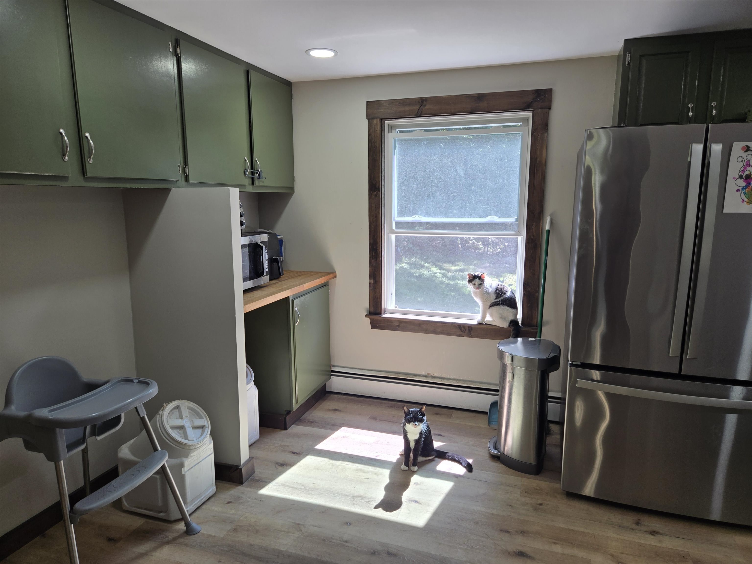 245 Branch Road Property Photo 4