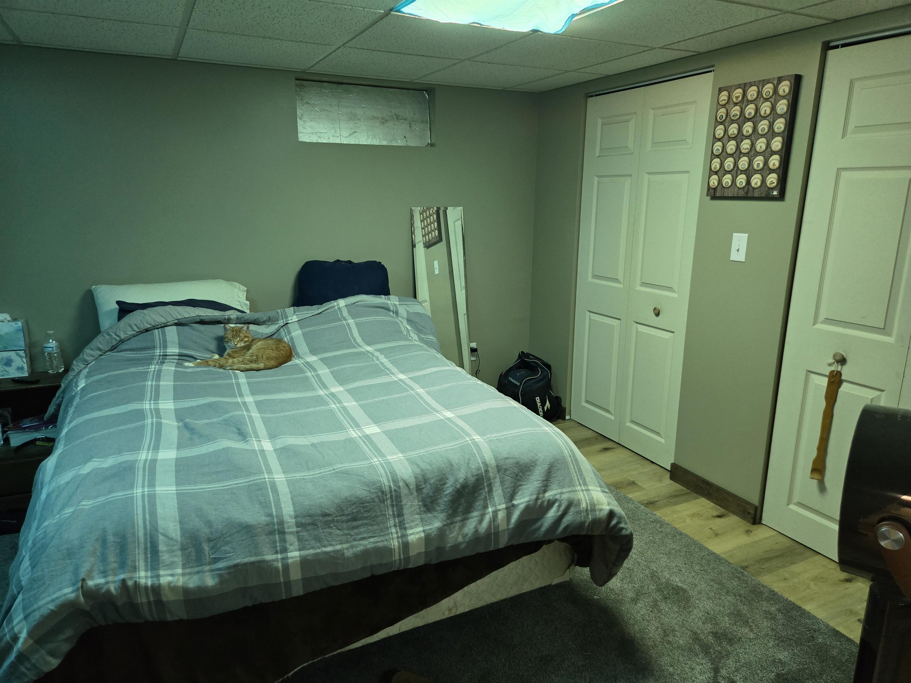 245 Branch Road Property Photo 18