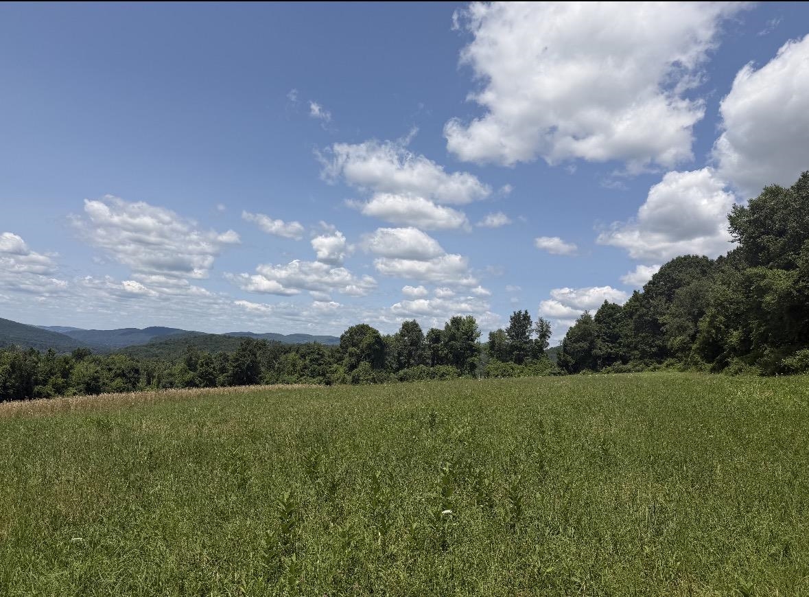 437 Pratt Road Property Photo 13