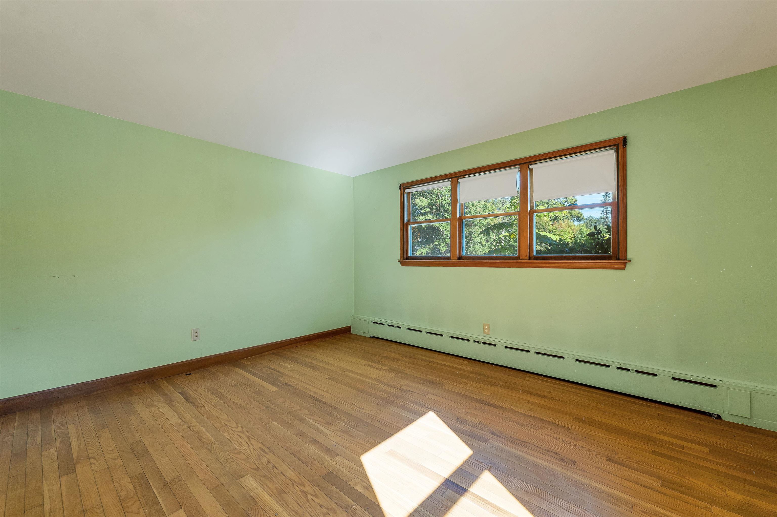 53 Rowell Street Property Photo 26