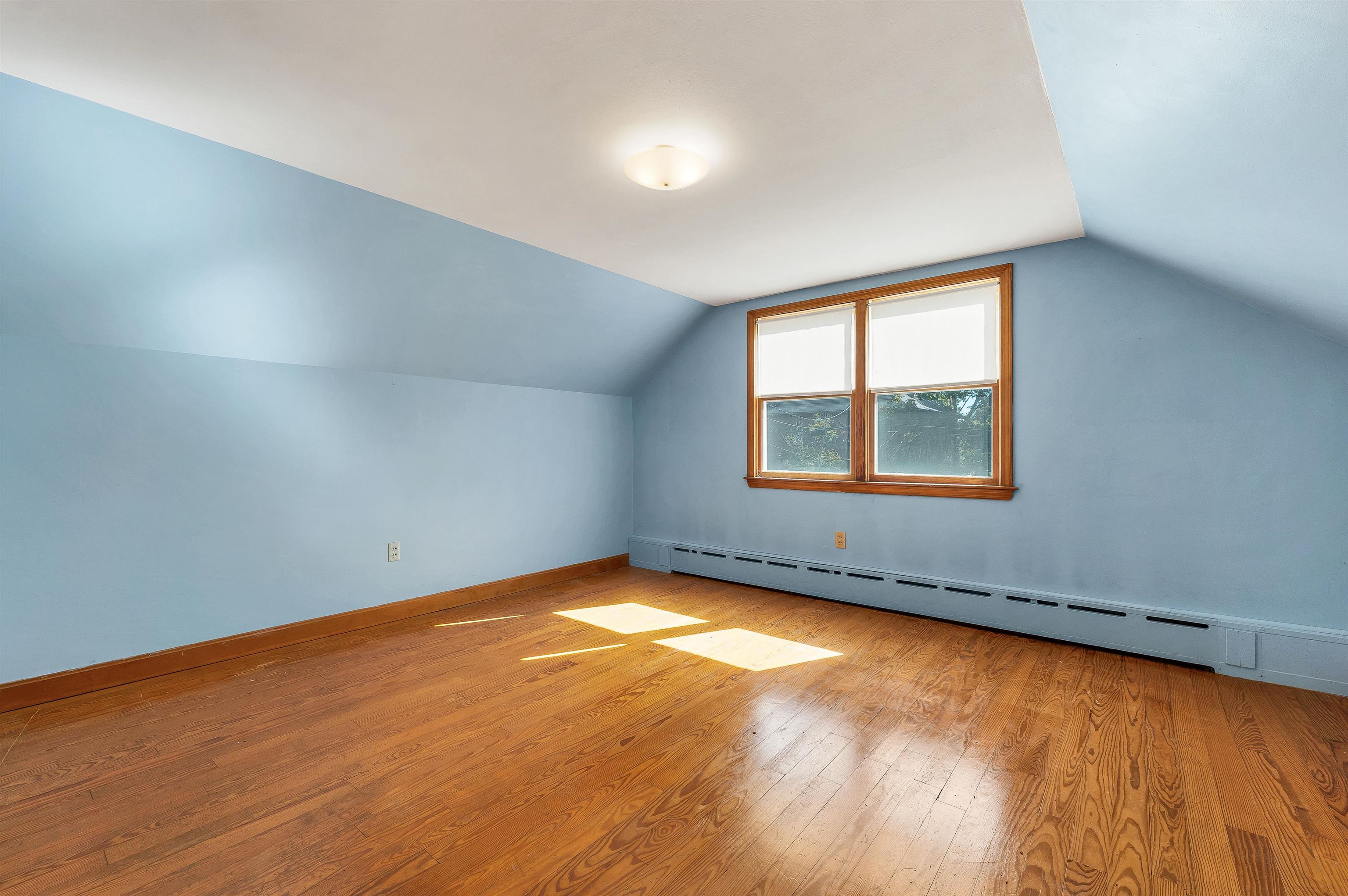 53 Rowell Street Property Photo 27