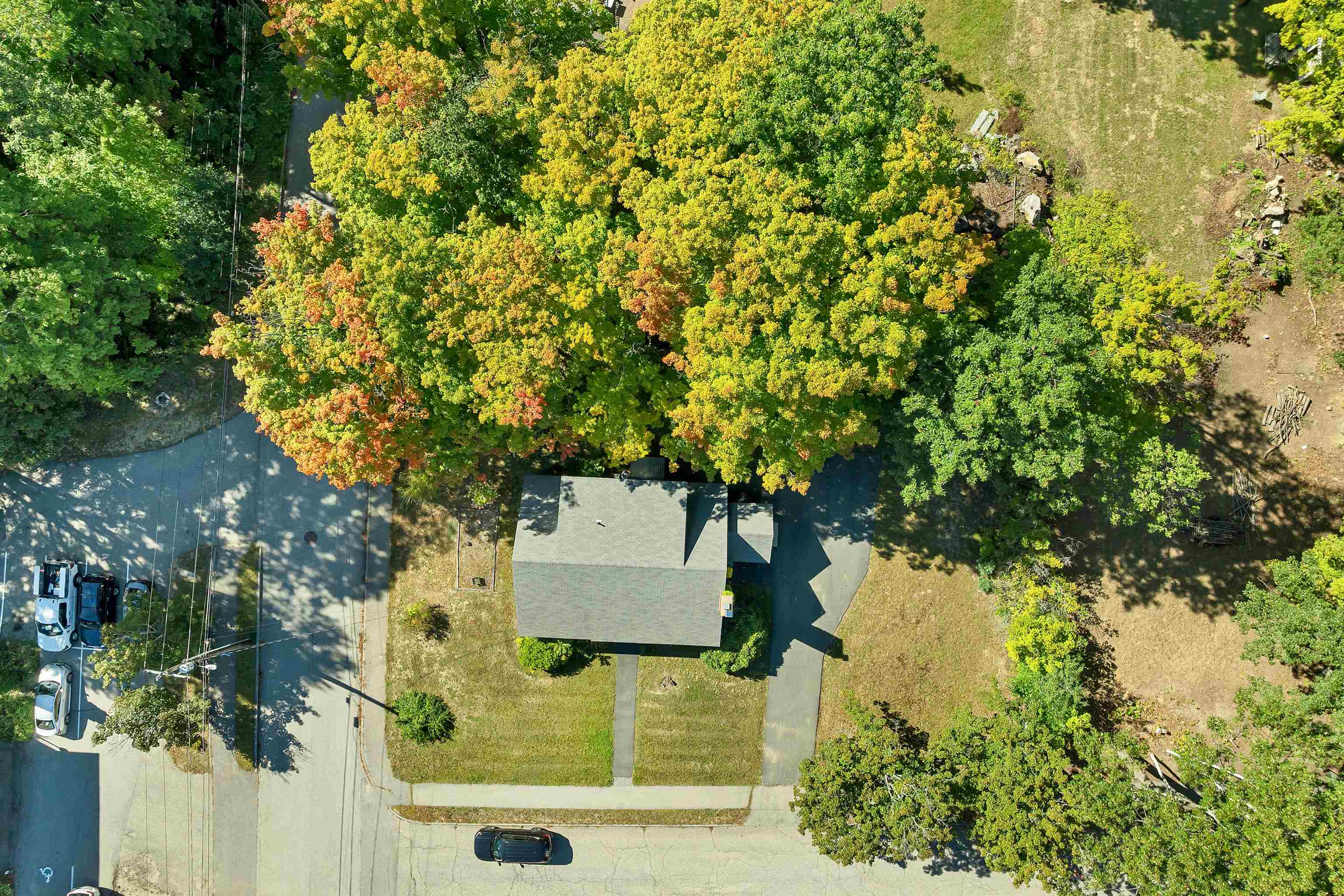 53 Rowell Street Property Photo 43