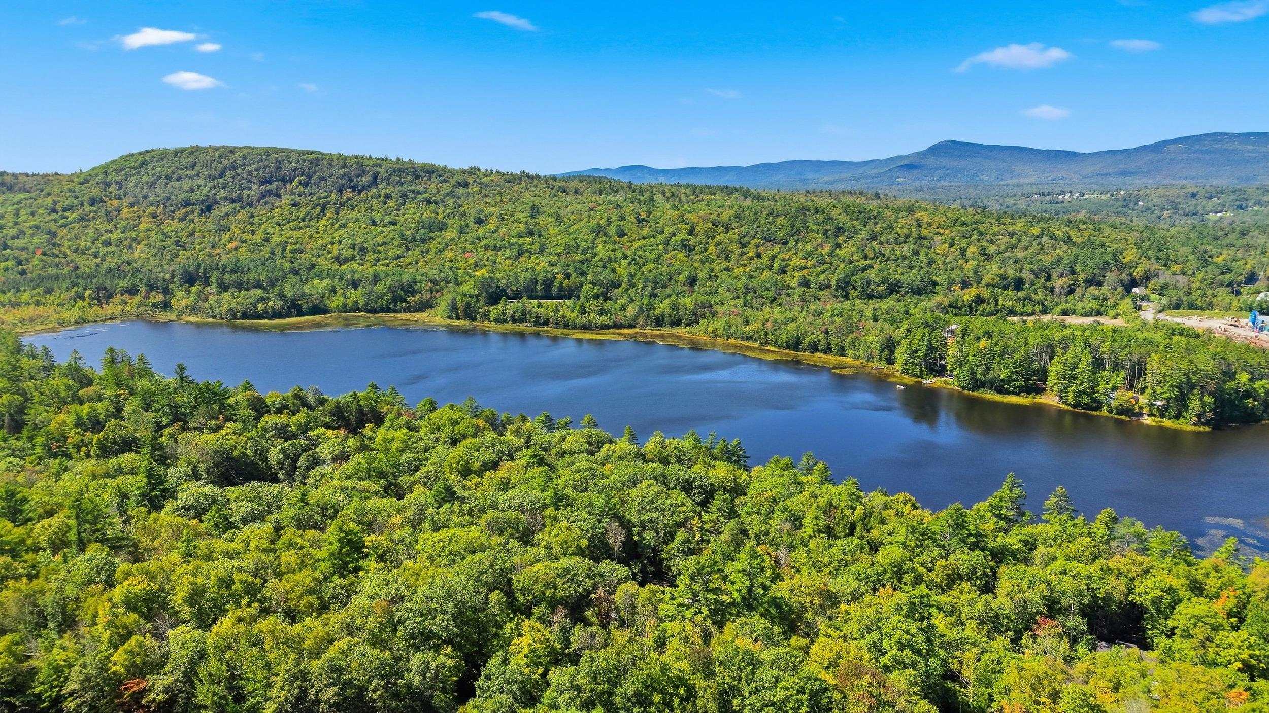 298 Stocker Pond Road Property Photo 8