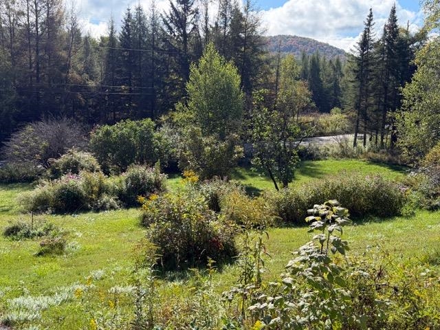 849 Reservoir Road Property Photo 23