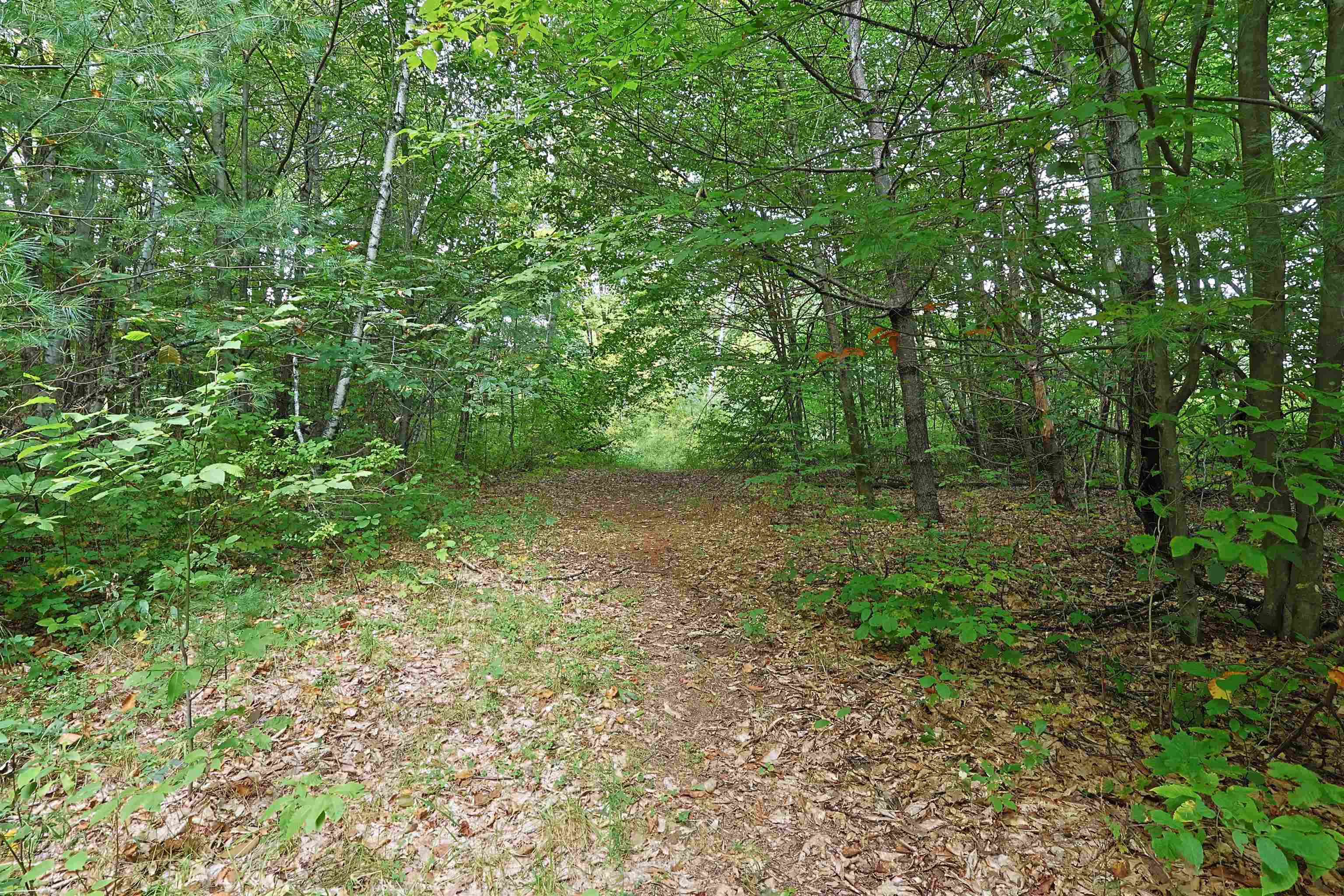 0 Wright Reservoir Road Property Photo 2