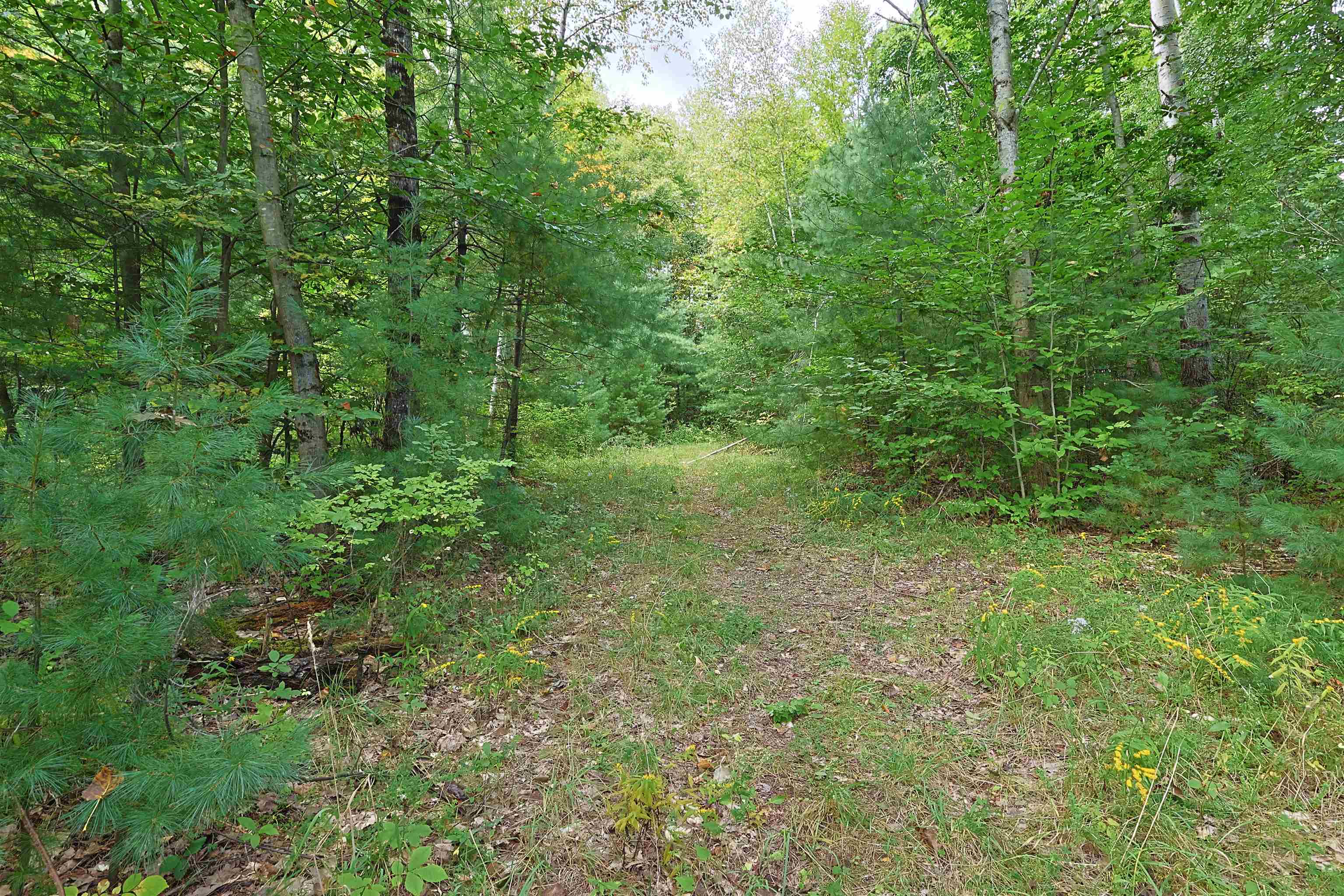 0 Wright Reservoir Road Property Photo 3