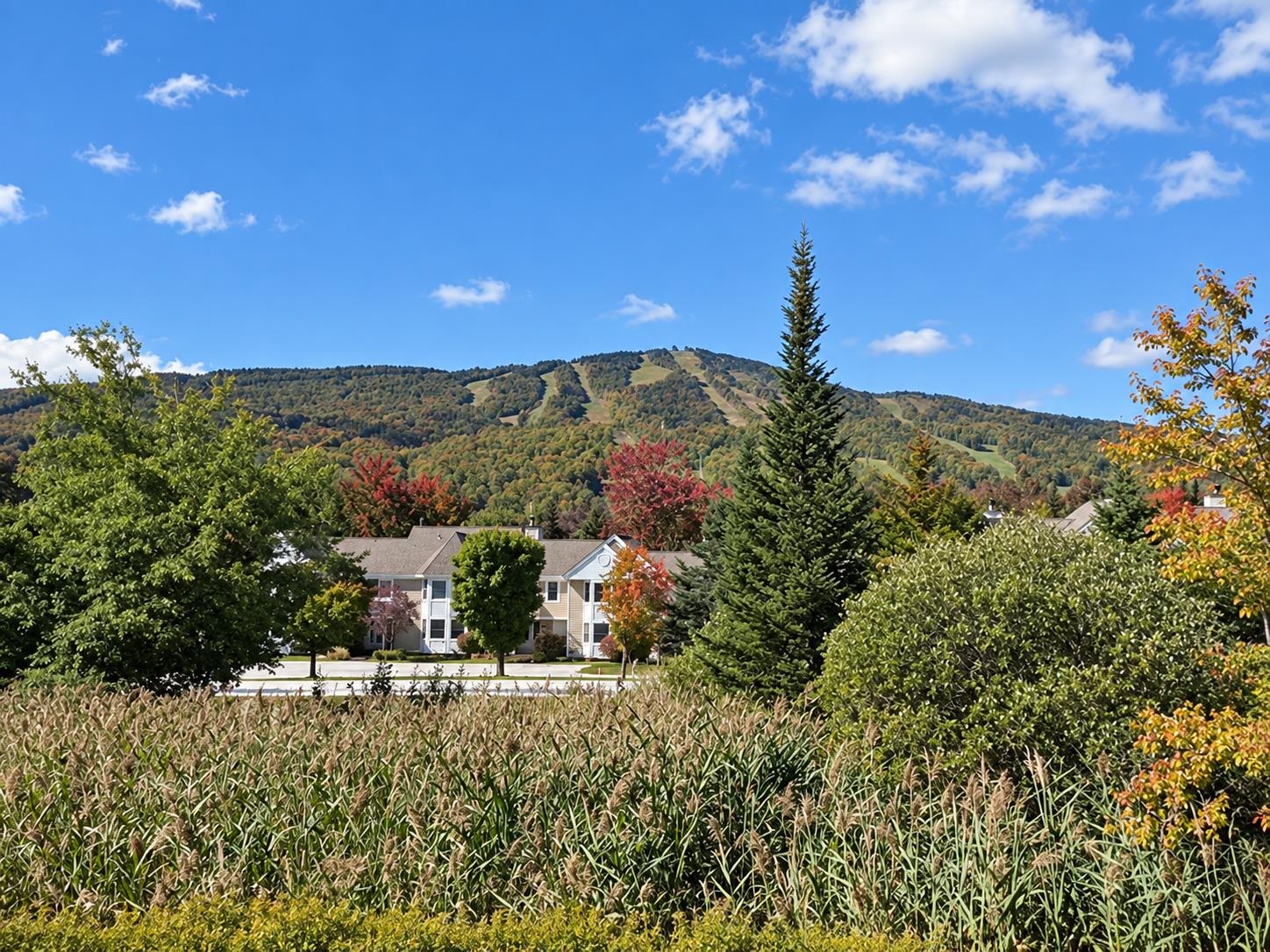 38d Greenspring Road Property Photo 49