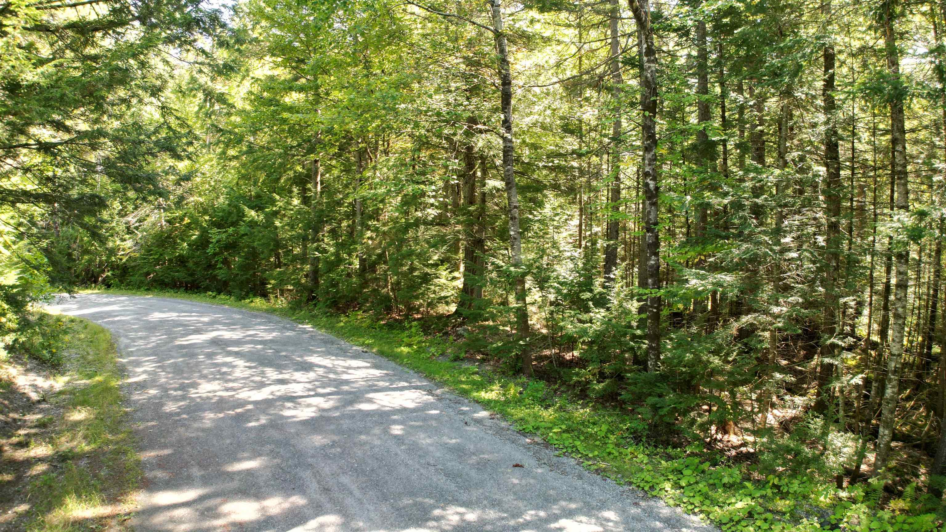 38 Winding Wood Road Property Photo 12