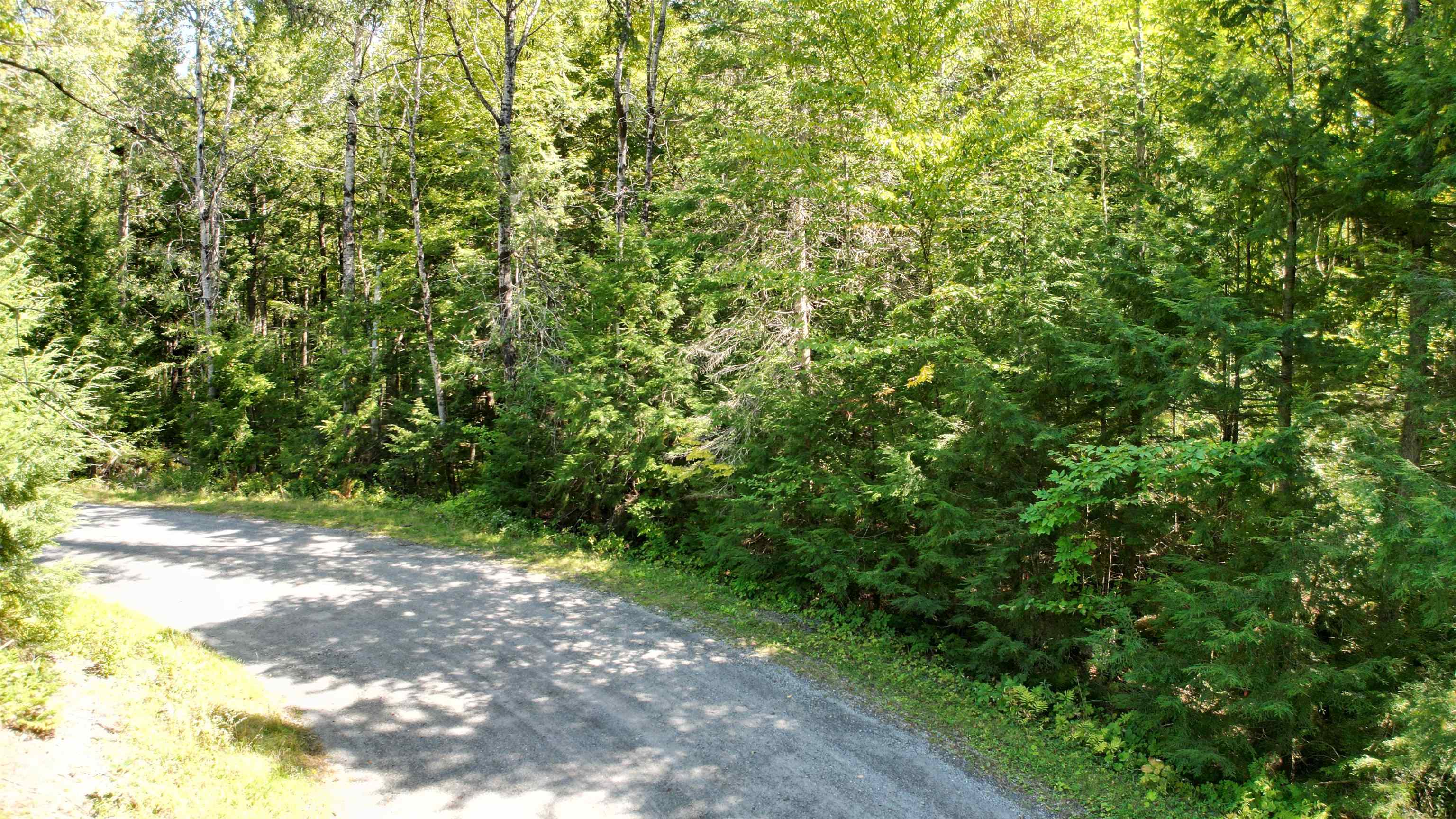 38 Winding Wood Road Property Photo 13