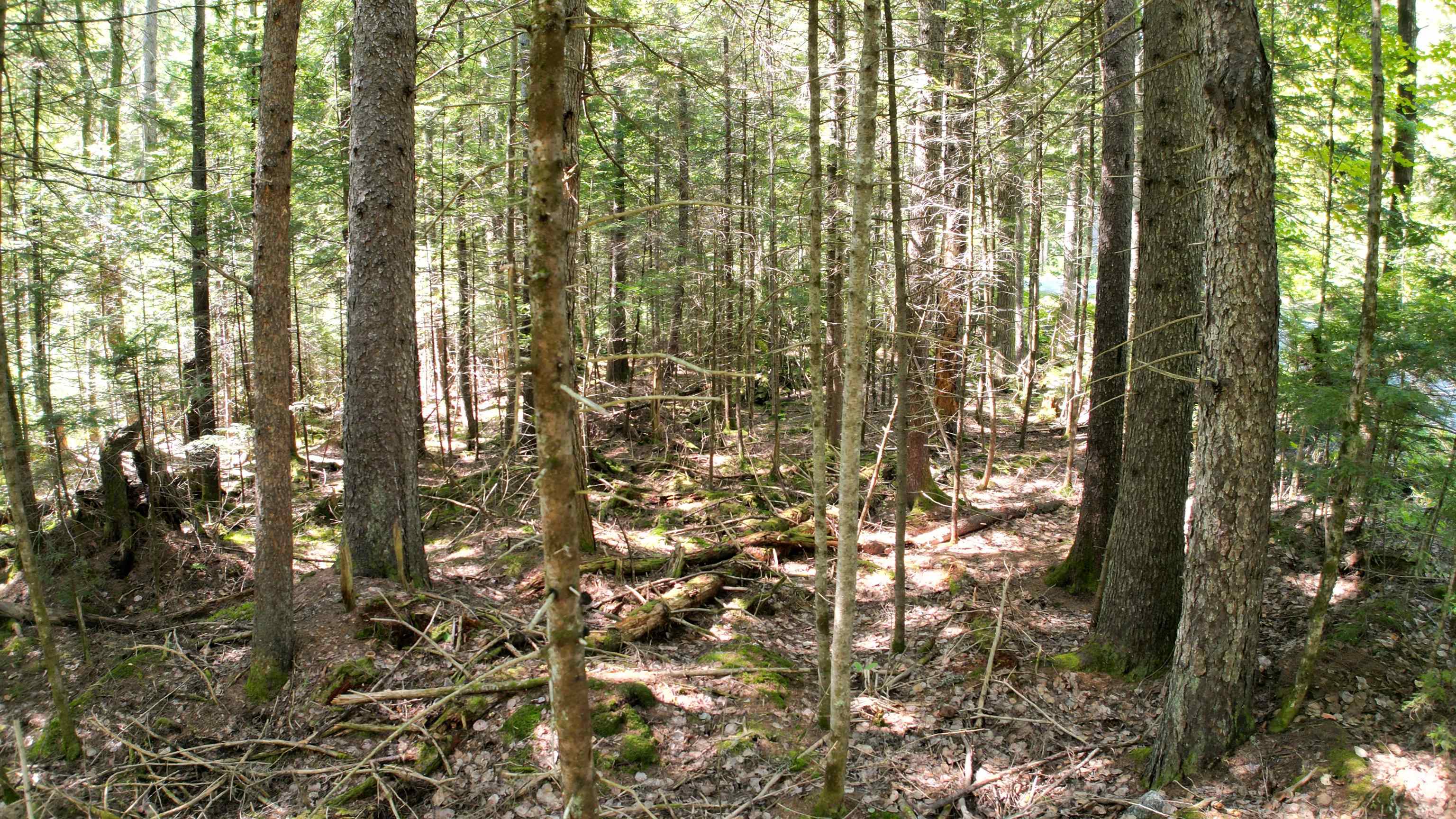 38 Winding Wood Road Property Photo 17