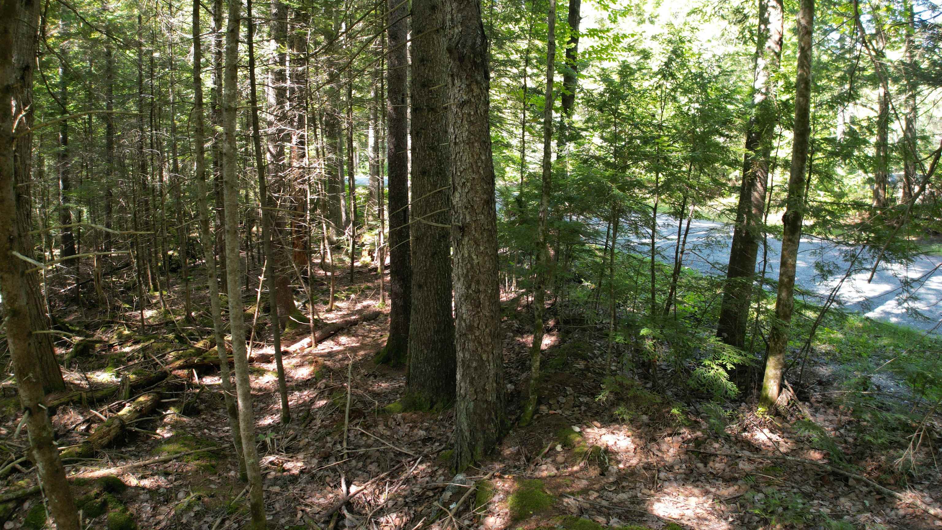 38 Winding Wood Road Property Photo 18