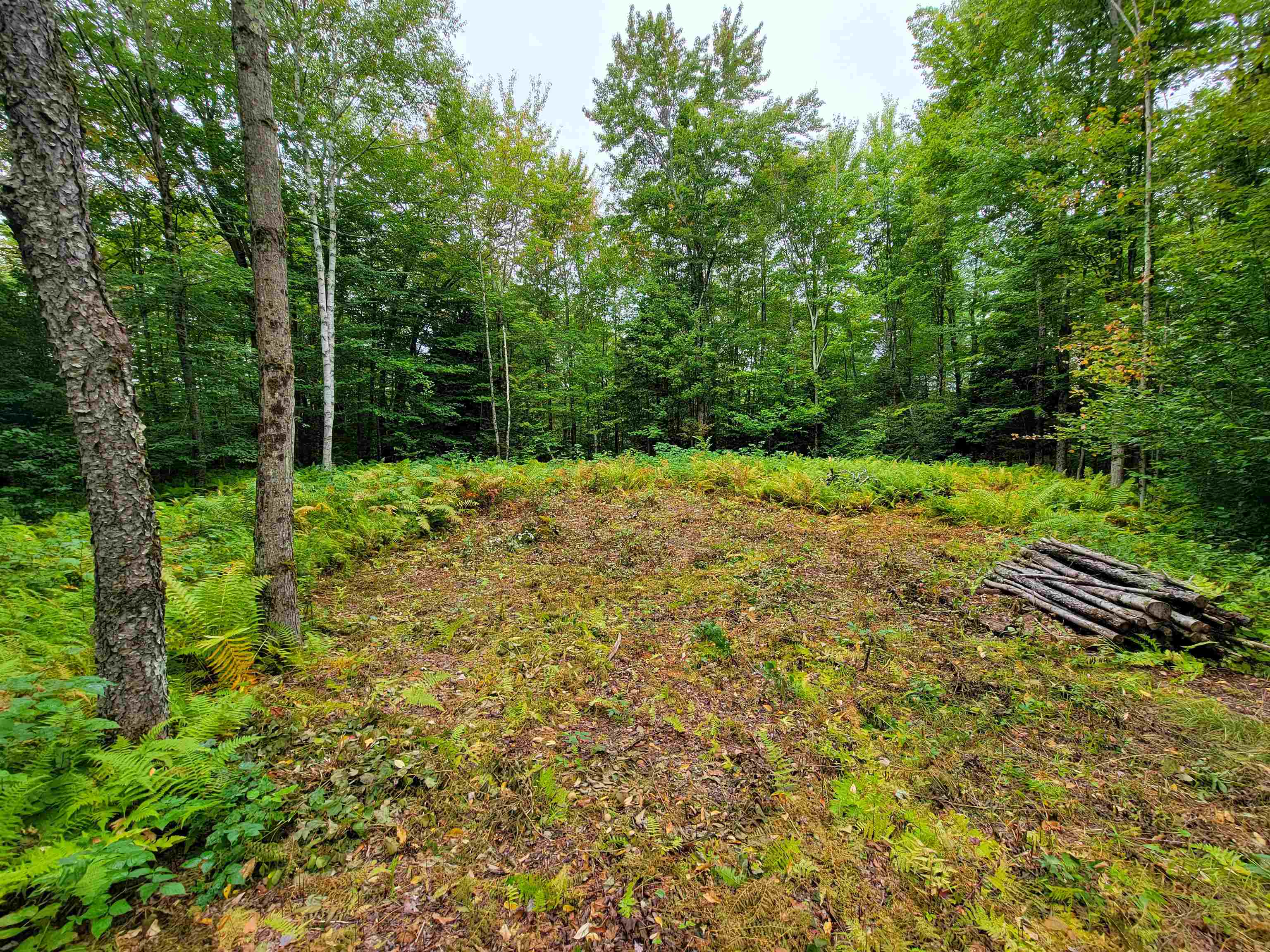 63 Fletcher's Butternut Lane Property Photo 49