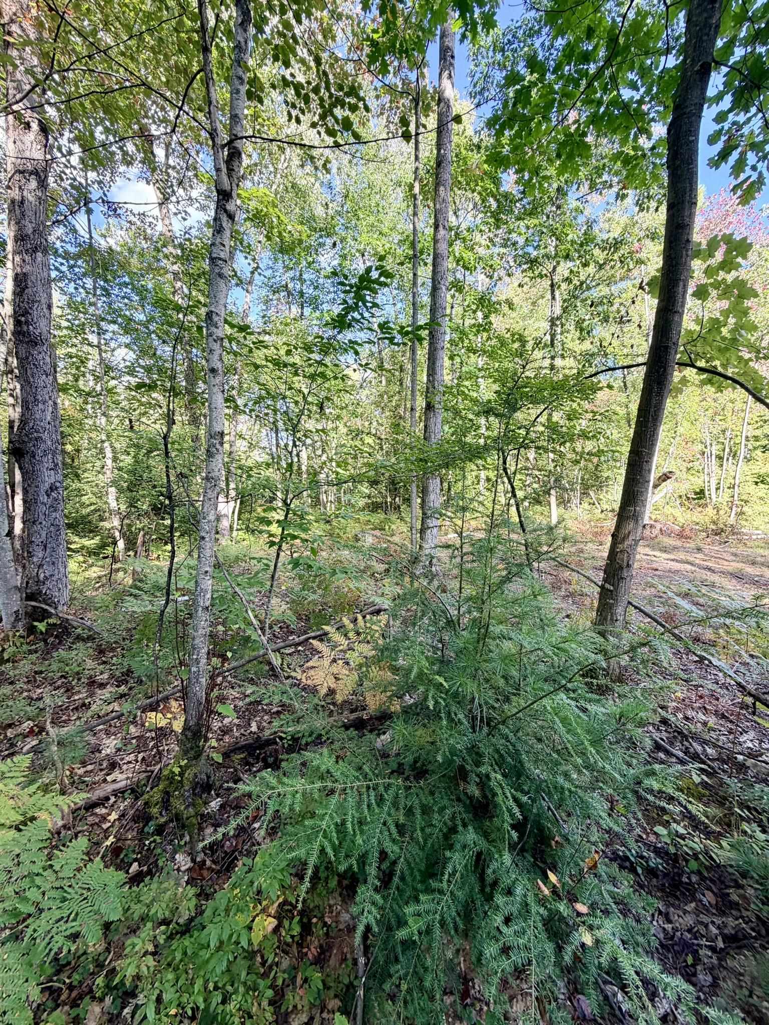 0 Cherry Lane Property Photo 23