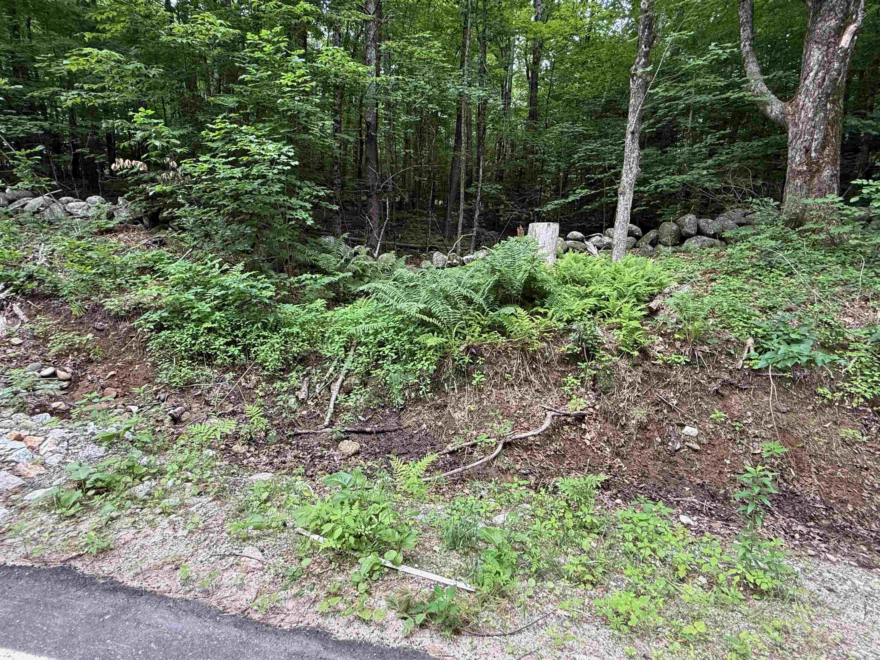 Lot #8-30-1 Tyler Road Property Photo 9
