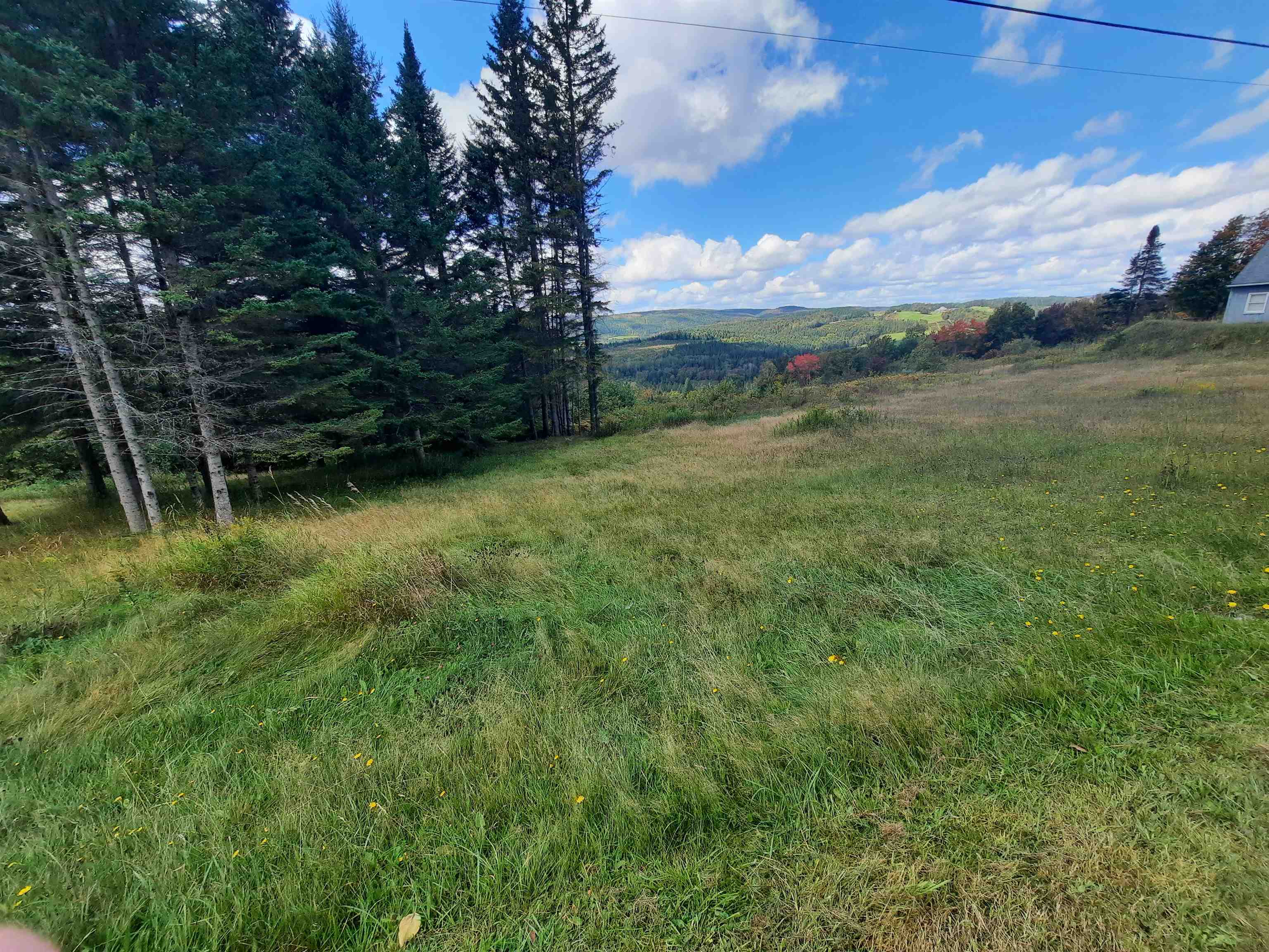 117 Daniel Beard Road Property Photo 10