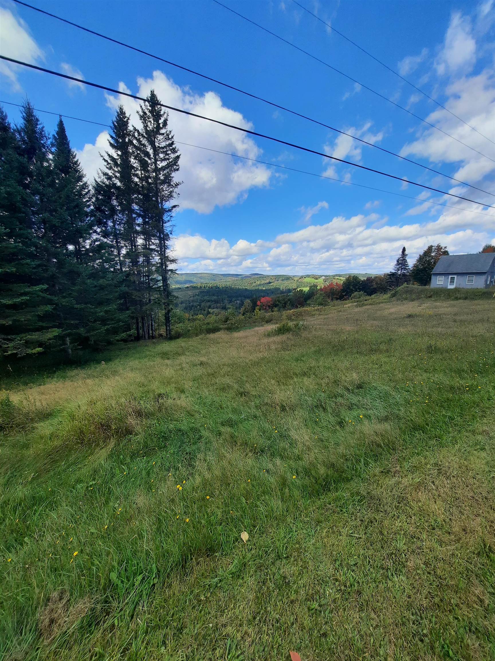 117 Daniel Beard Road Property Photo 11