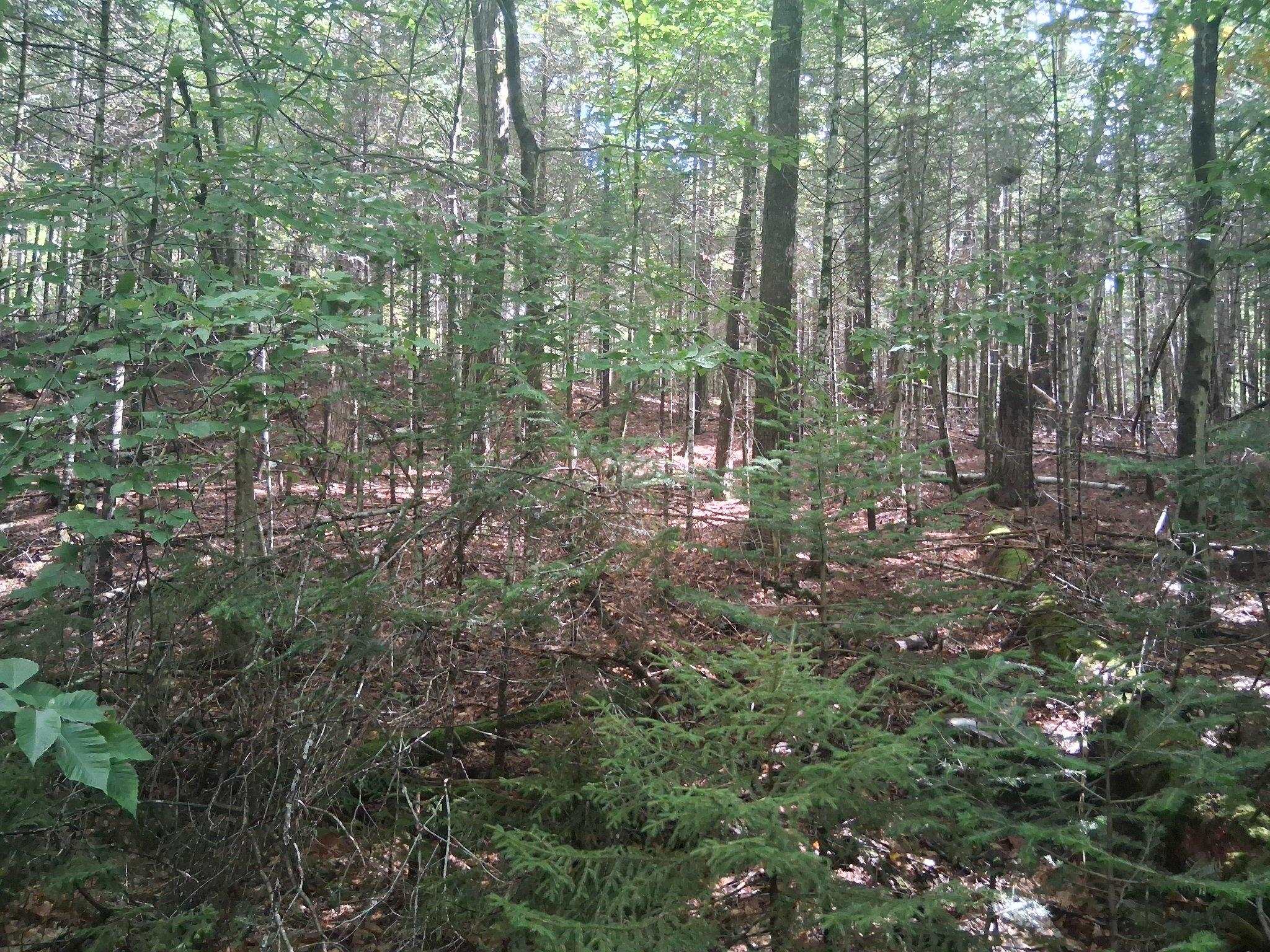 14-257 Garfield Road Property Photo 2