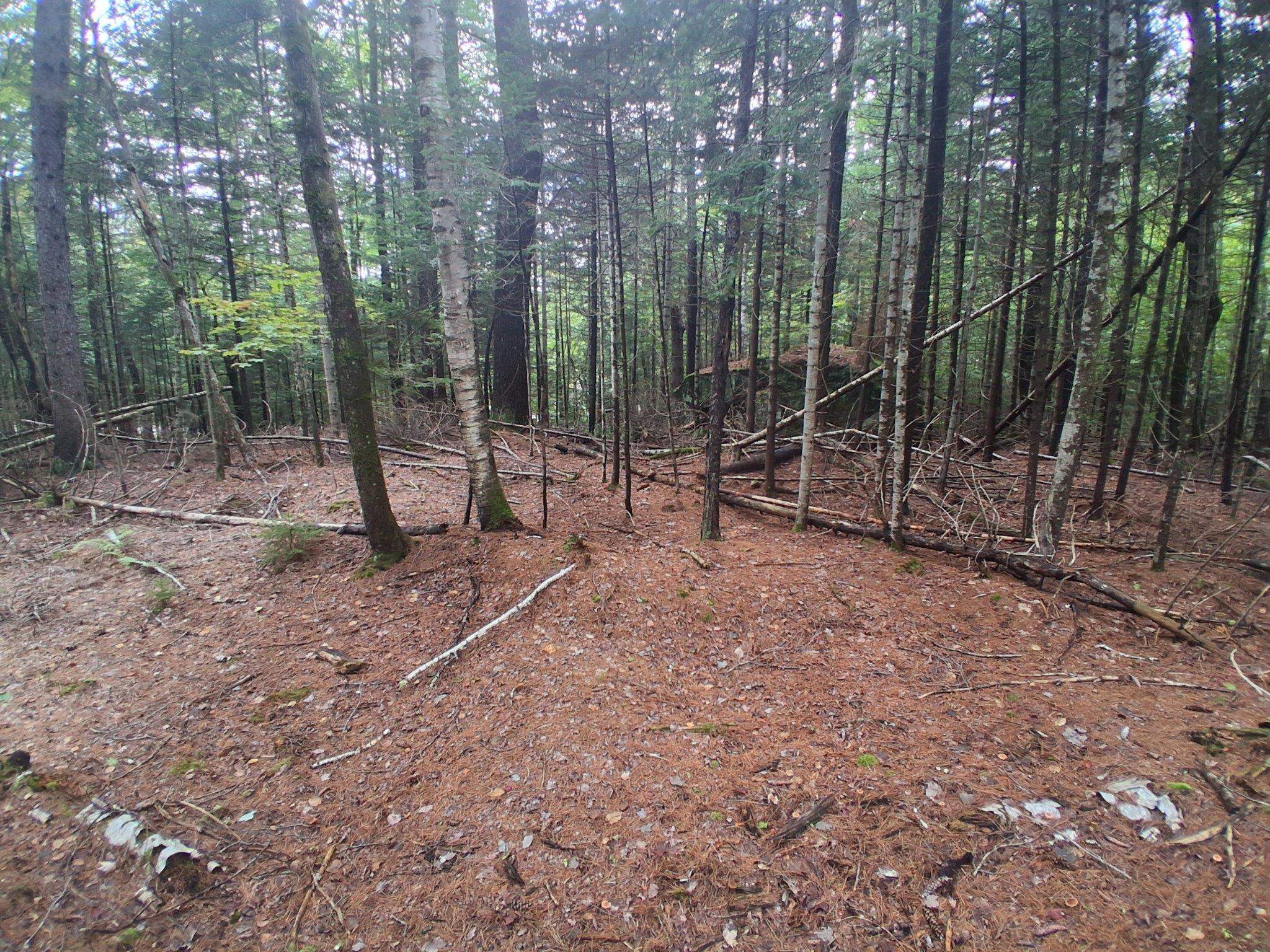 14-257 Garfield Road Property Photo 3