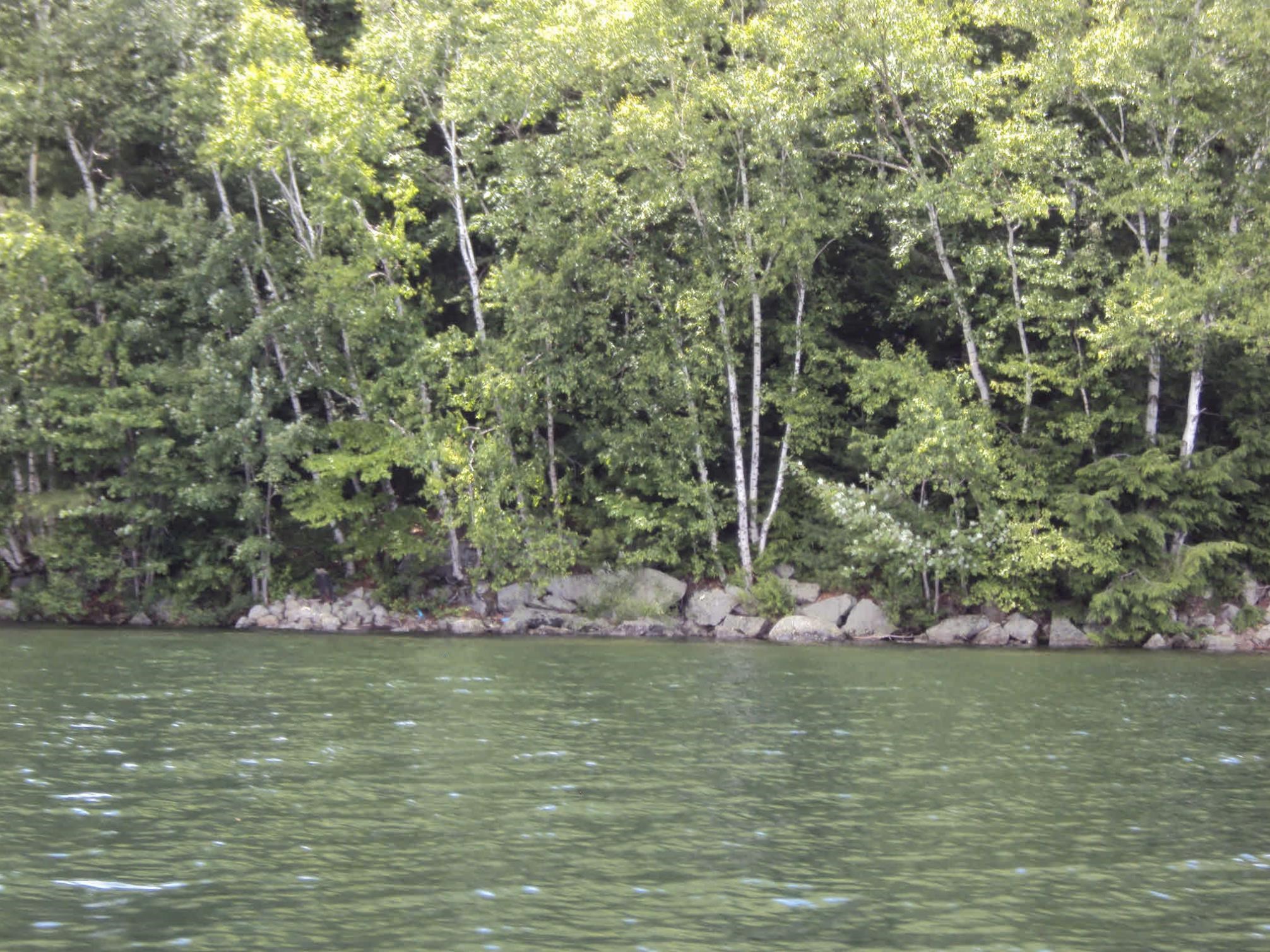 Lot #20a-333-70 Route 103 Property Photo 3