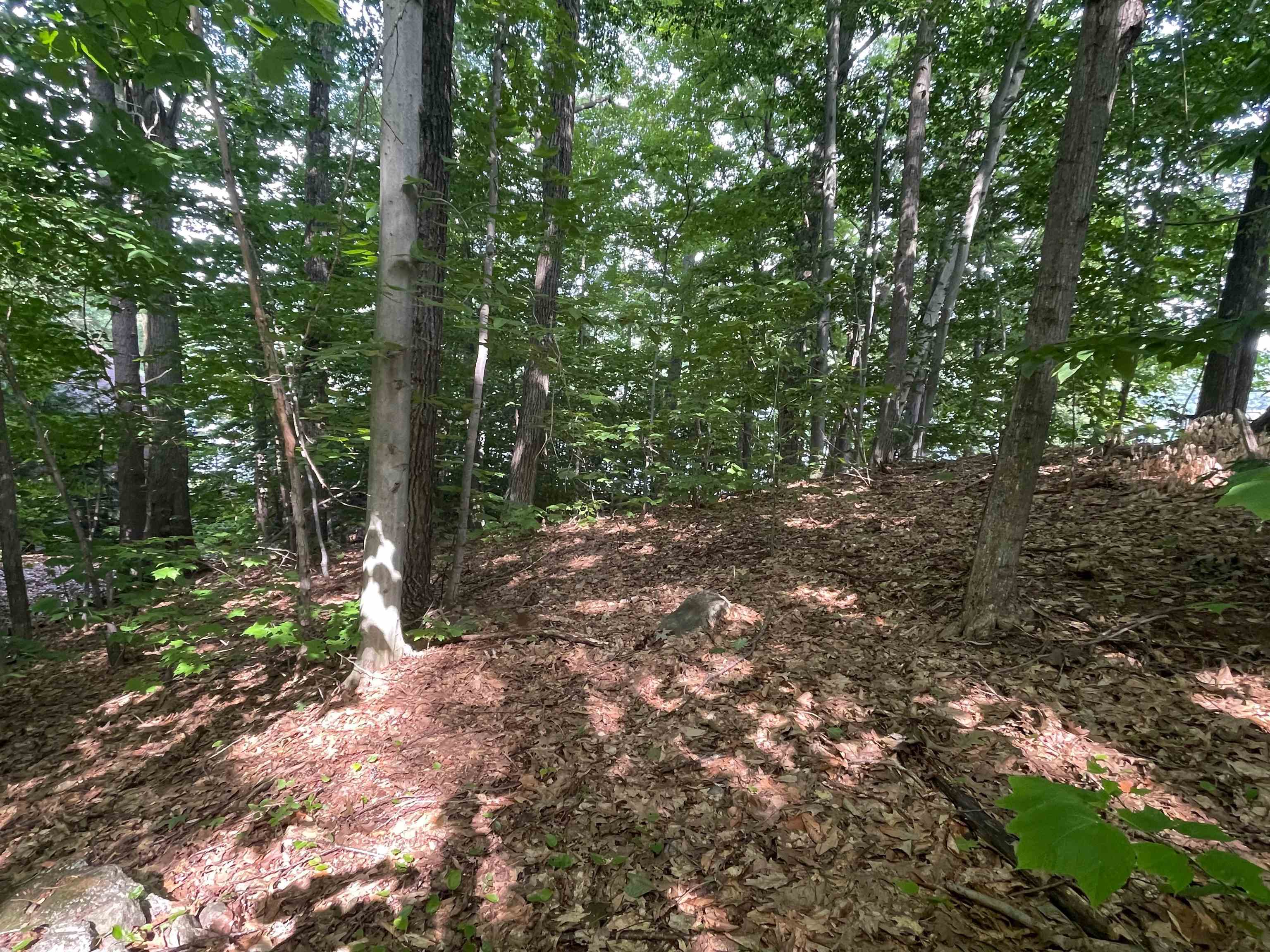 Lot #20a-333-70 Route 103 Property Photo 7