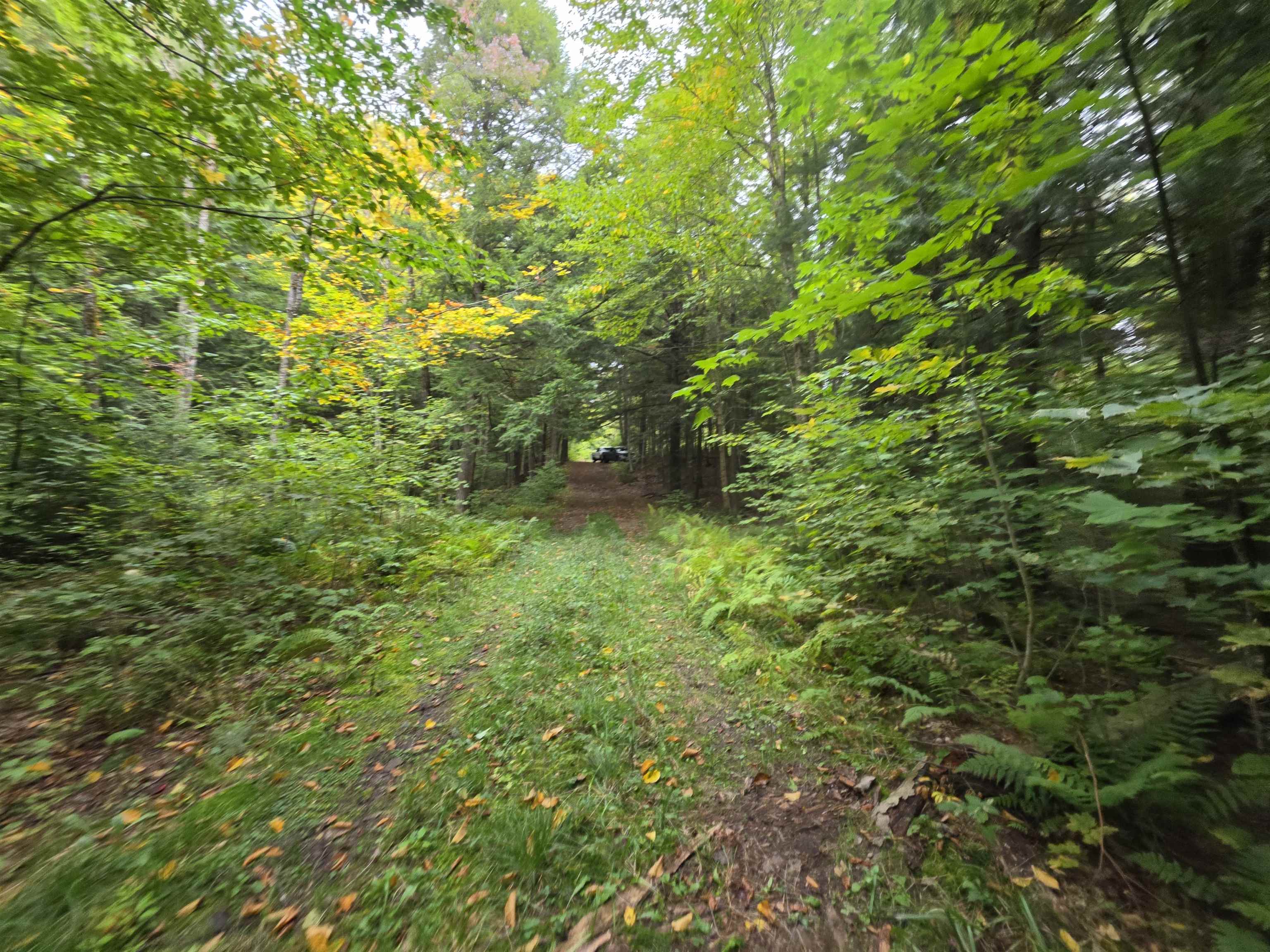 Lot#7 Woodland Drive Property Photo 1