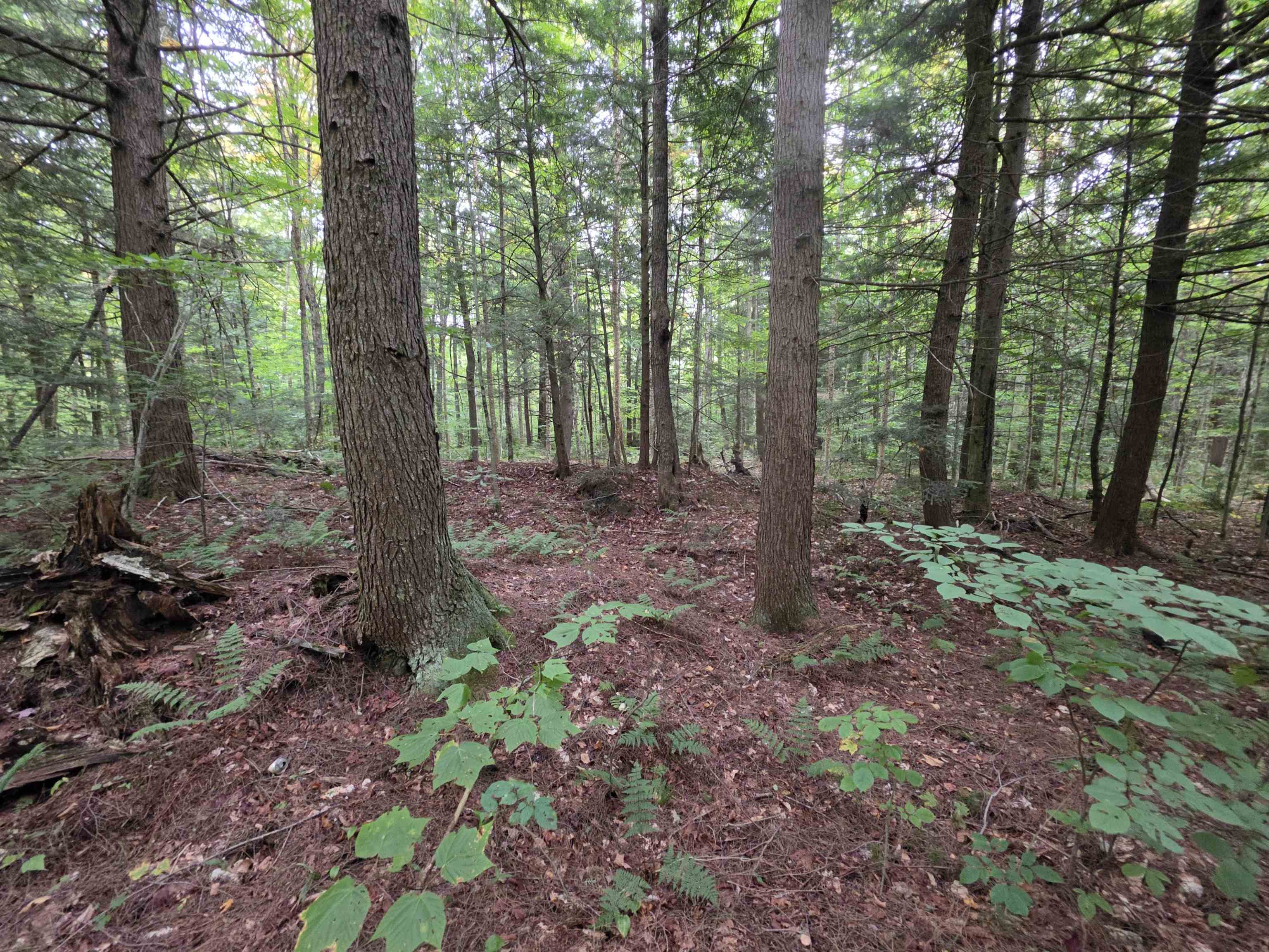 Lot#7 Woodland Drive Property Photo 2