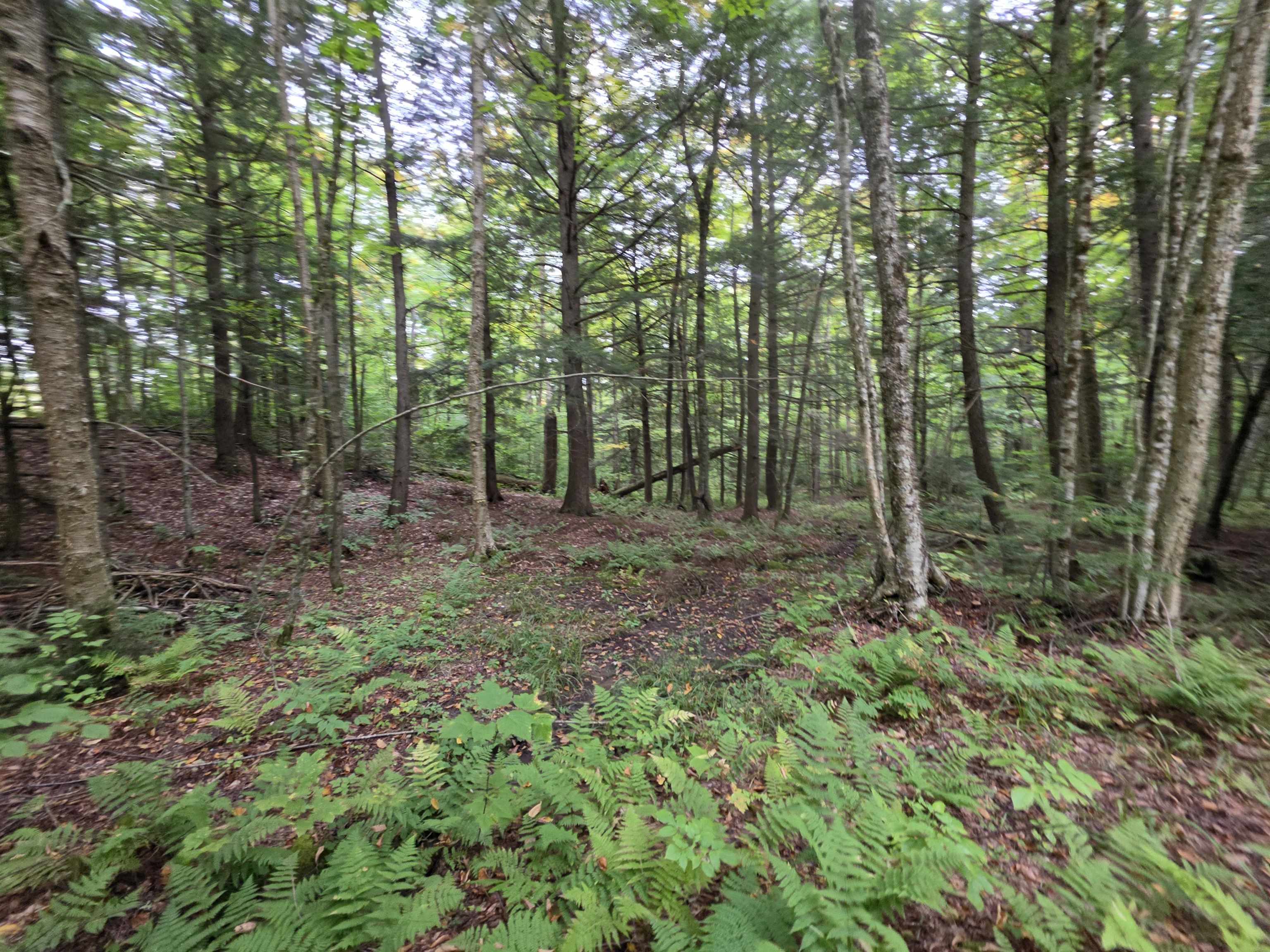 Lot#7 Woodland Drive Property Photo 3