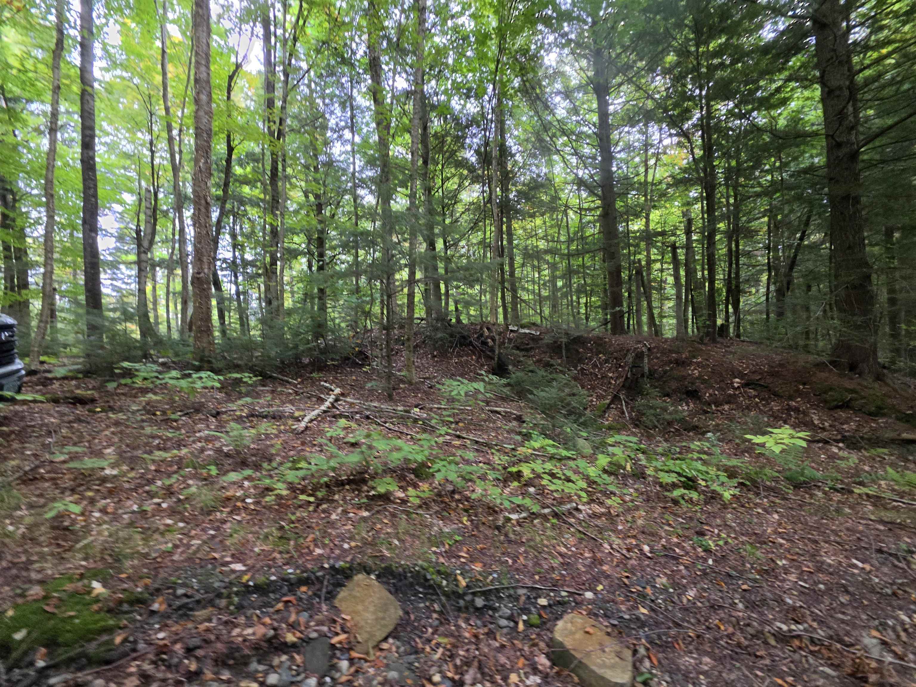 Lot#7 Woodland Drive Property Photo 4