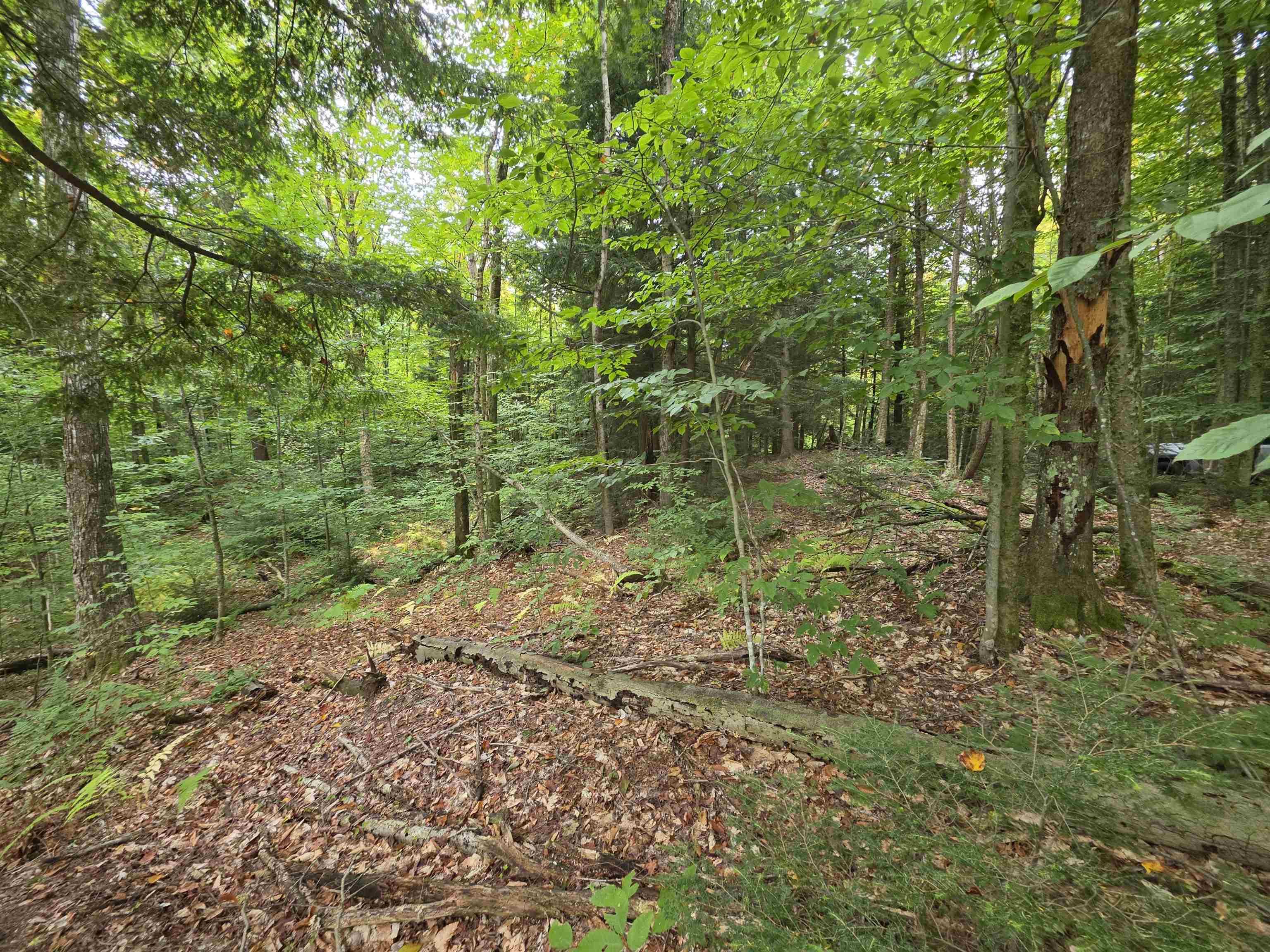 Lot#7 Woodland Drive Property Photo 5