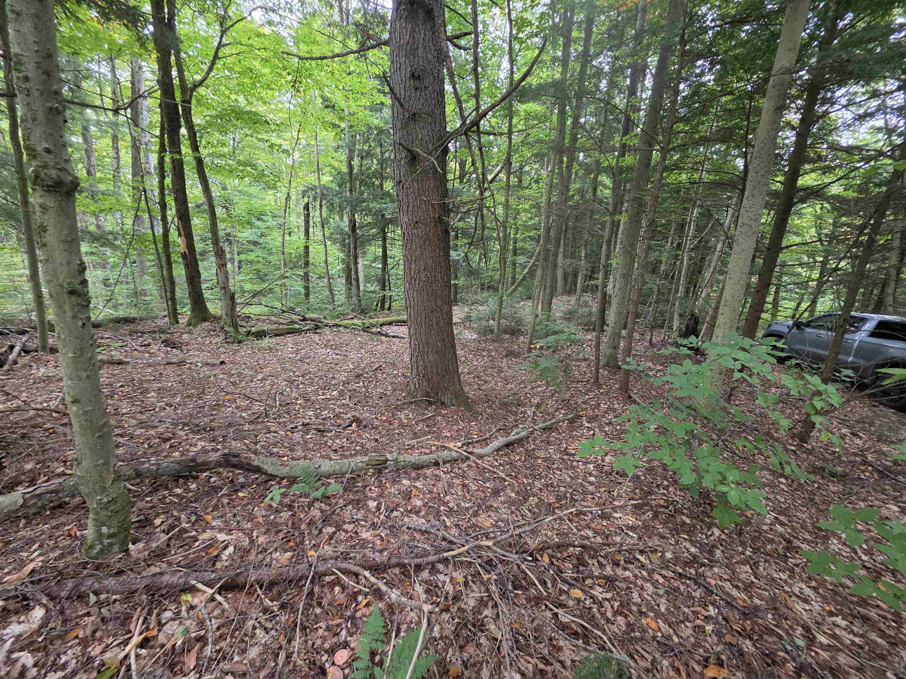 Lot#7 Woodland Drive Property Photo 6
