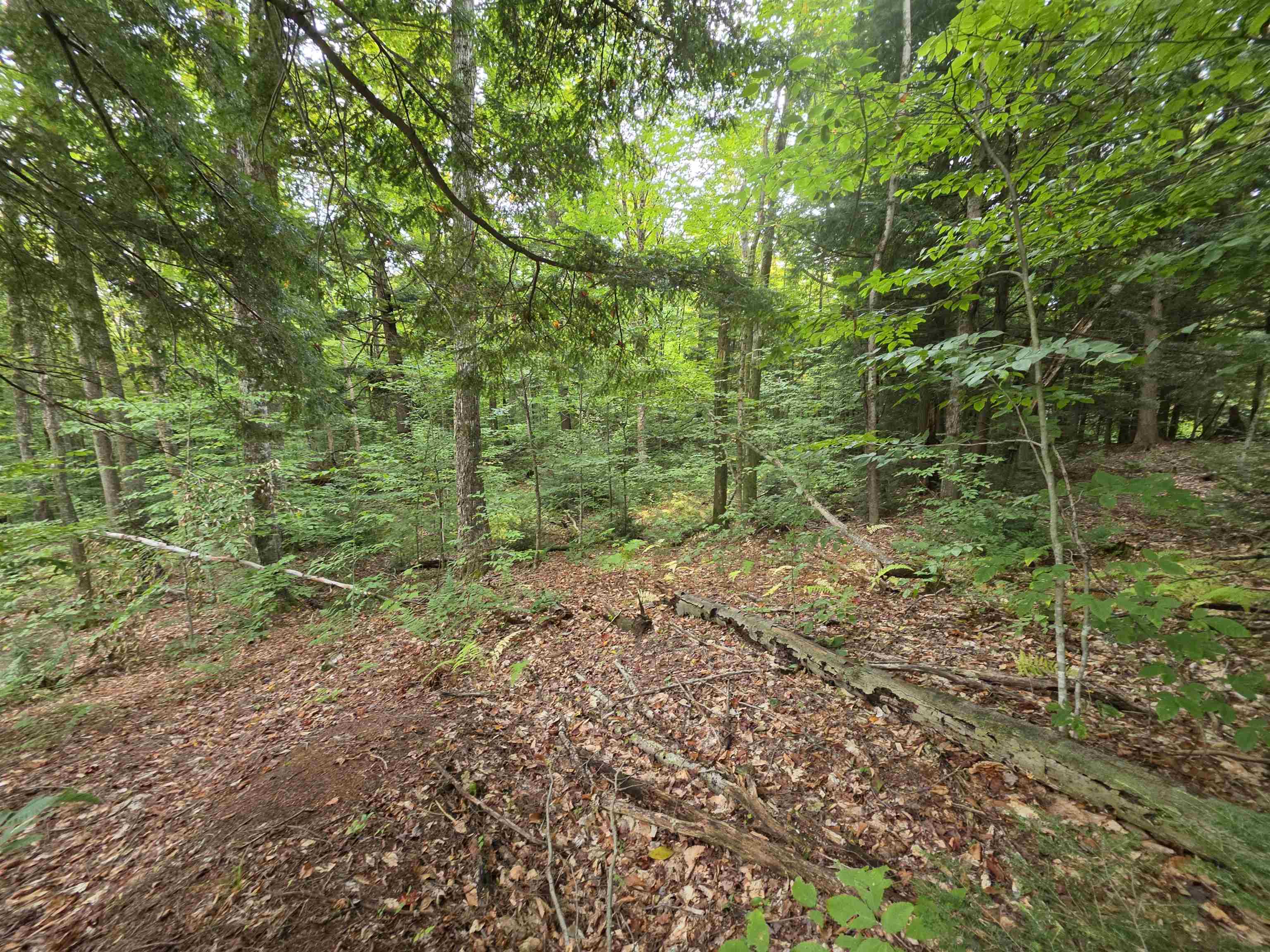 Lot#7 Woodland Drive Property Photo 7