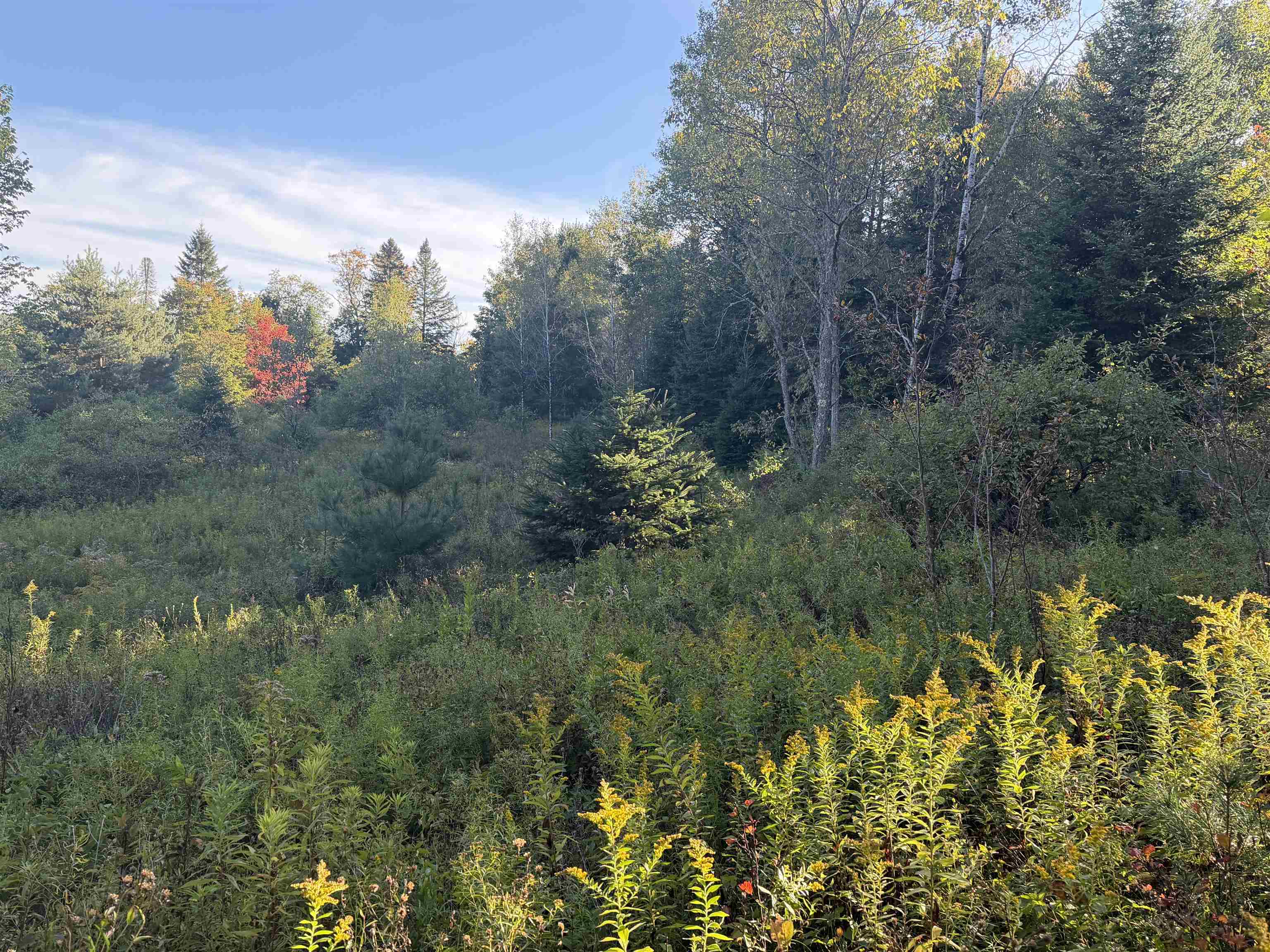 000 Burke Hollow Road Property Photo 2